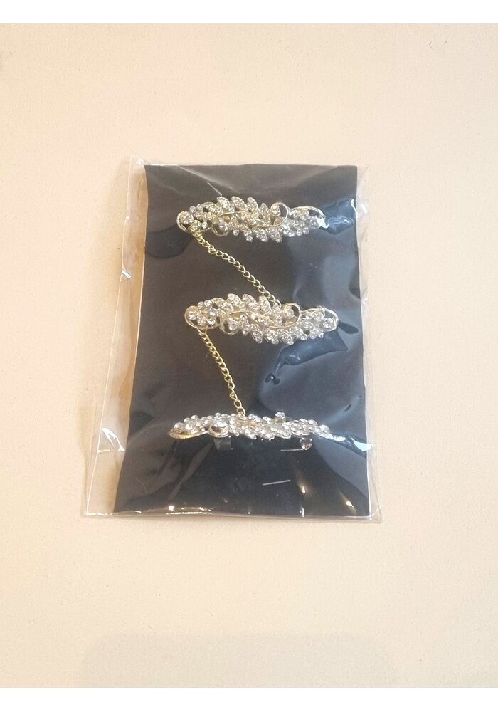 Speld broche 1910-02
