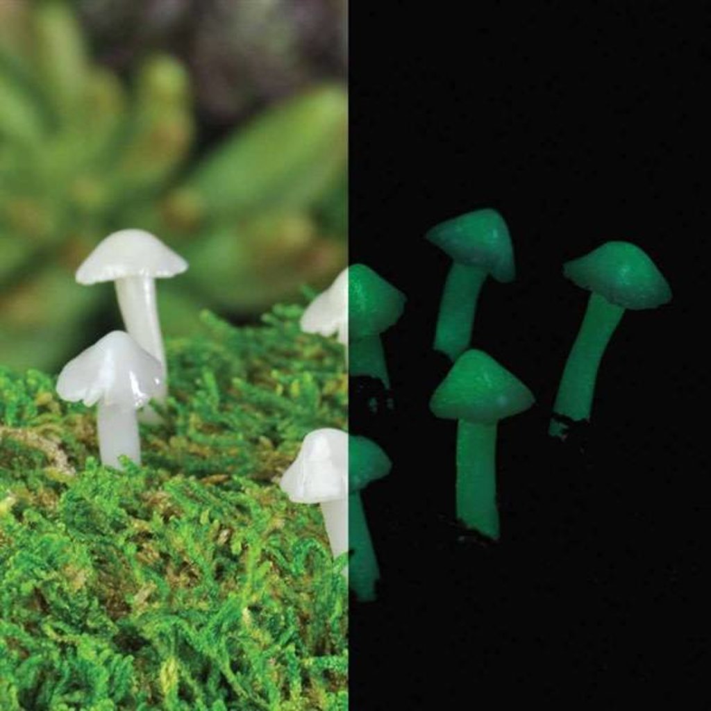 Set of 3 Glow-In-The-Dark Mushrooms Fairy Garden Mini