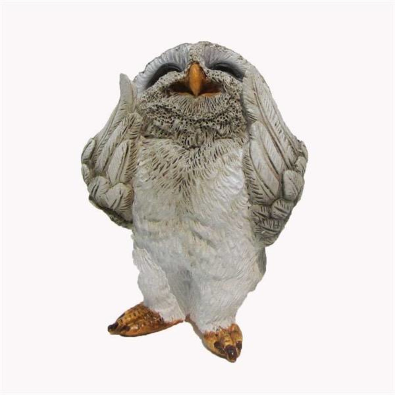 Fiddlehead Fiddlehead - Laughing Owl
