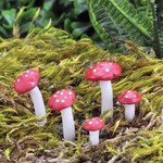 Fiddlehead Fiddlehead - Fly Agaric Mushrooms