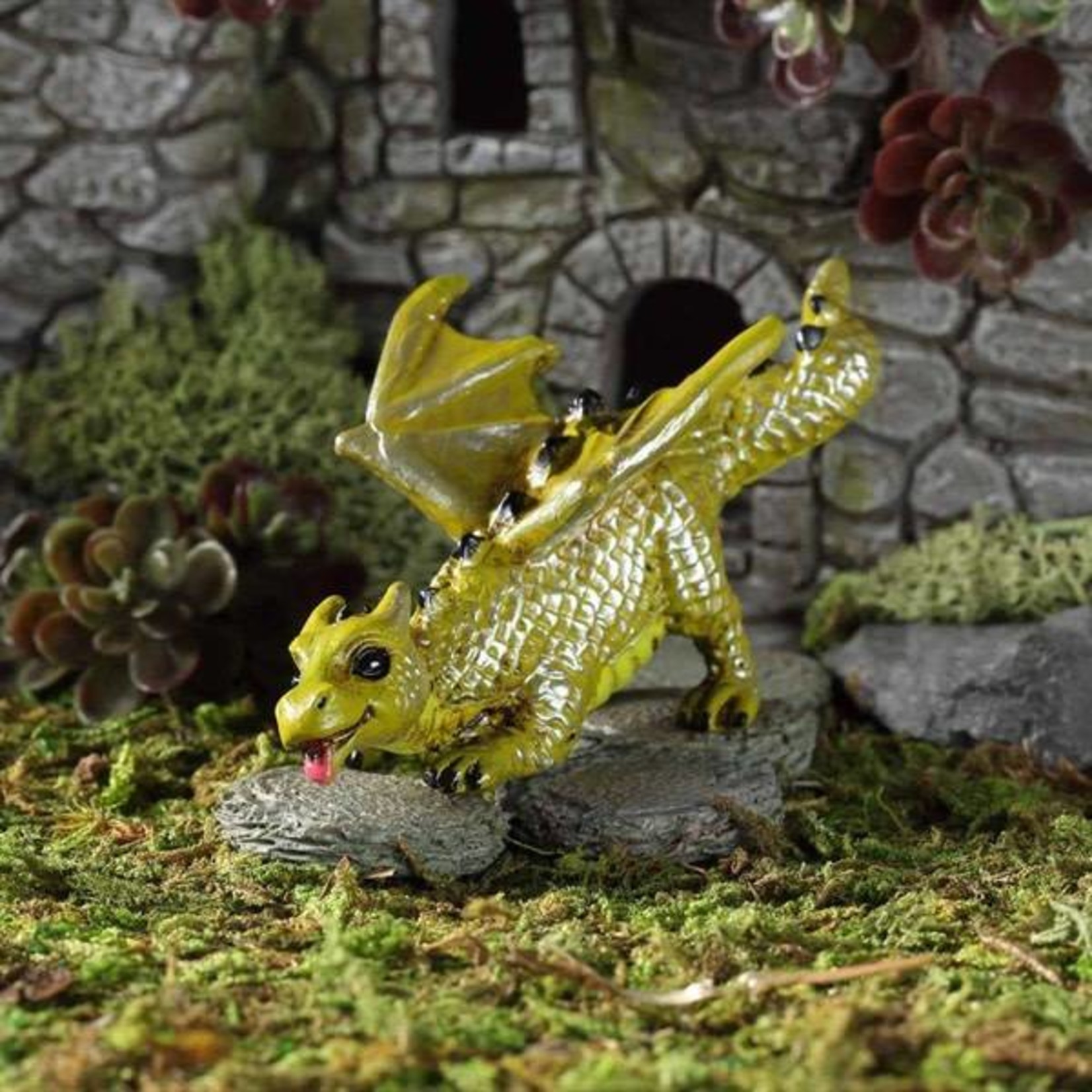 Fiddlehead Fiddlehead - Prowling Dragon