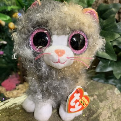 ty beanie boo reagan