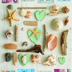 Educa Seashells Collage Puzzle 1000pcs