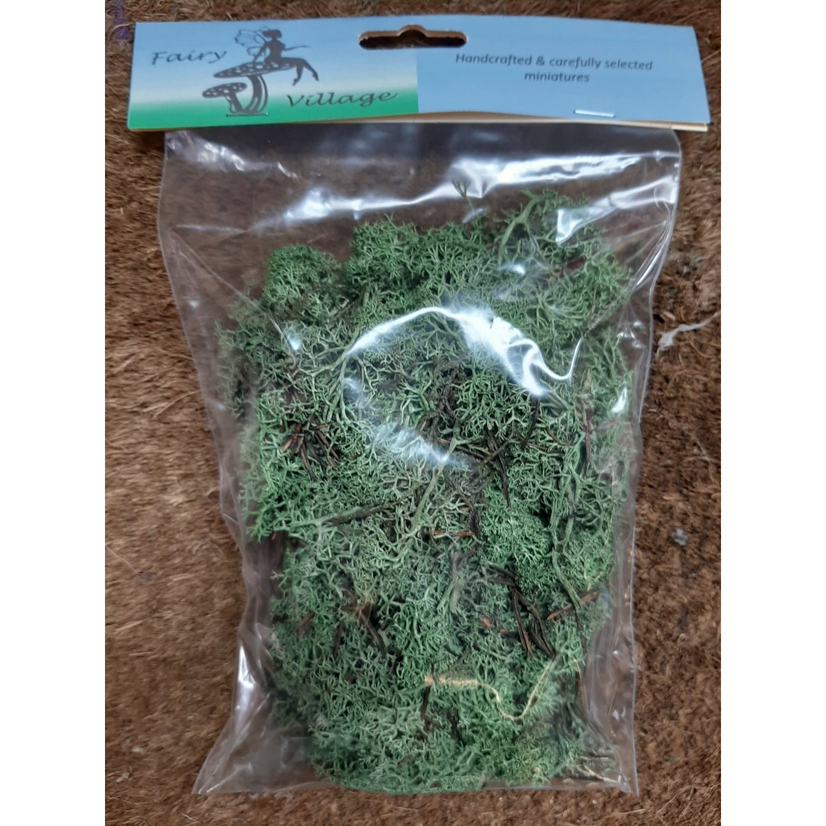 Fairy Village Moss Bag 40g