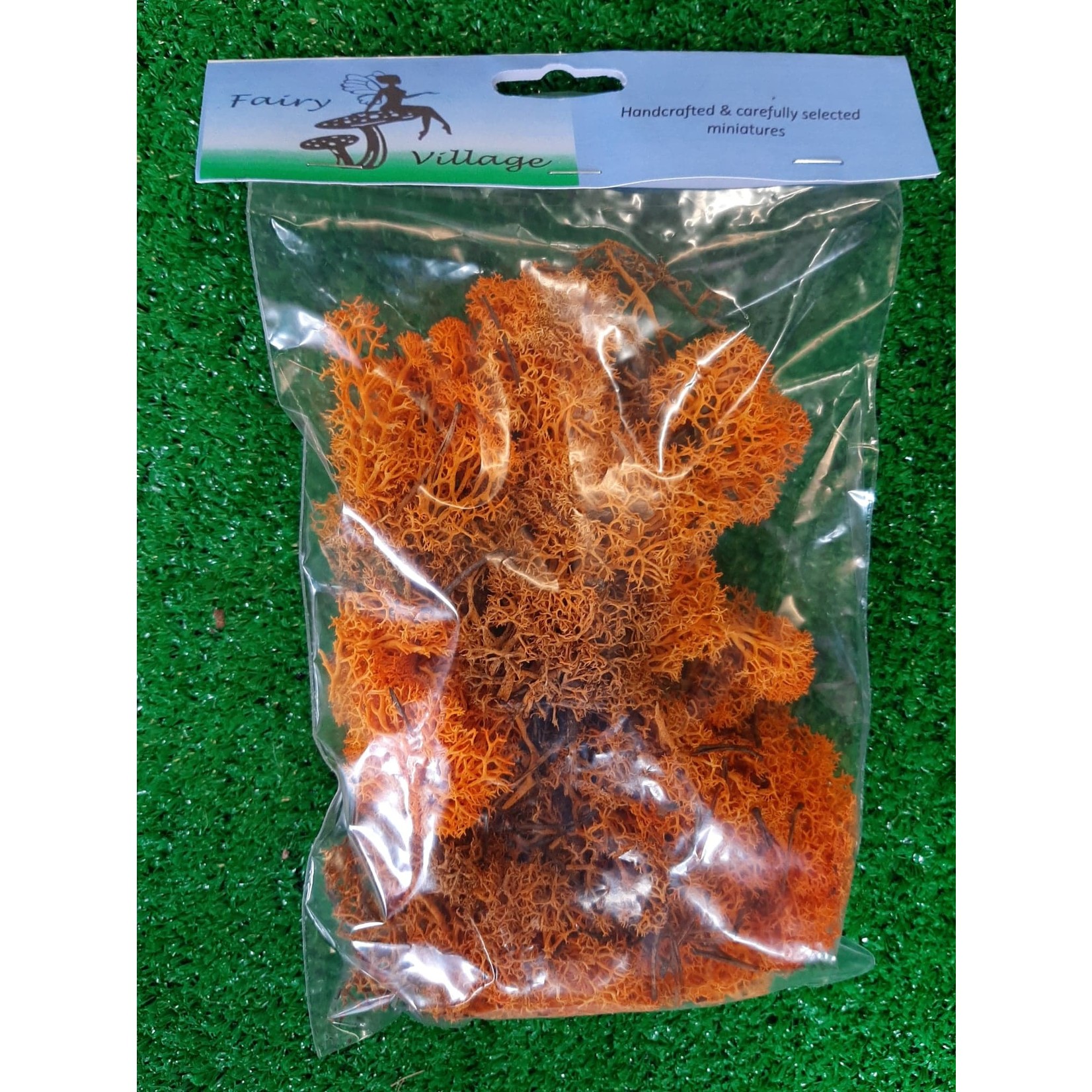 Fairy Village Moss Bag 40g