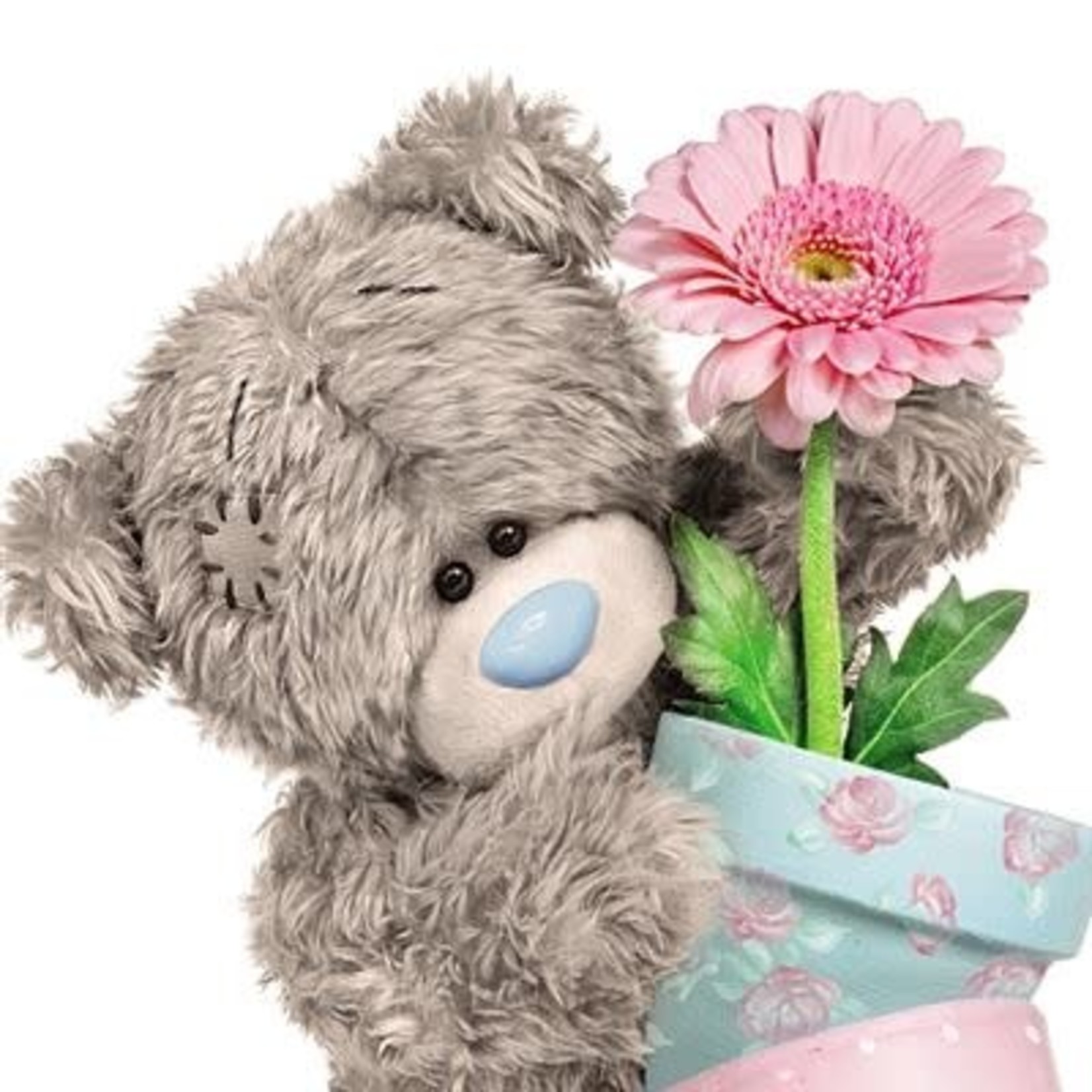 Me to You 3D Effect Bear with Pot Plant Birthday Card