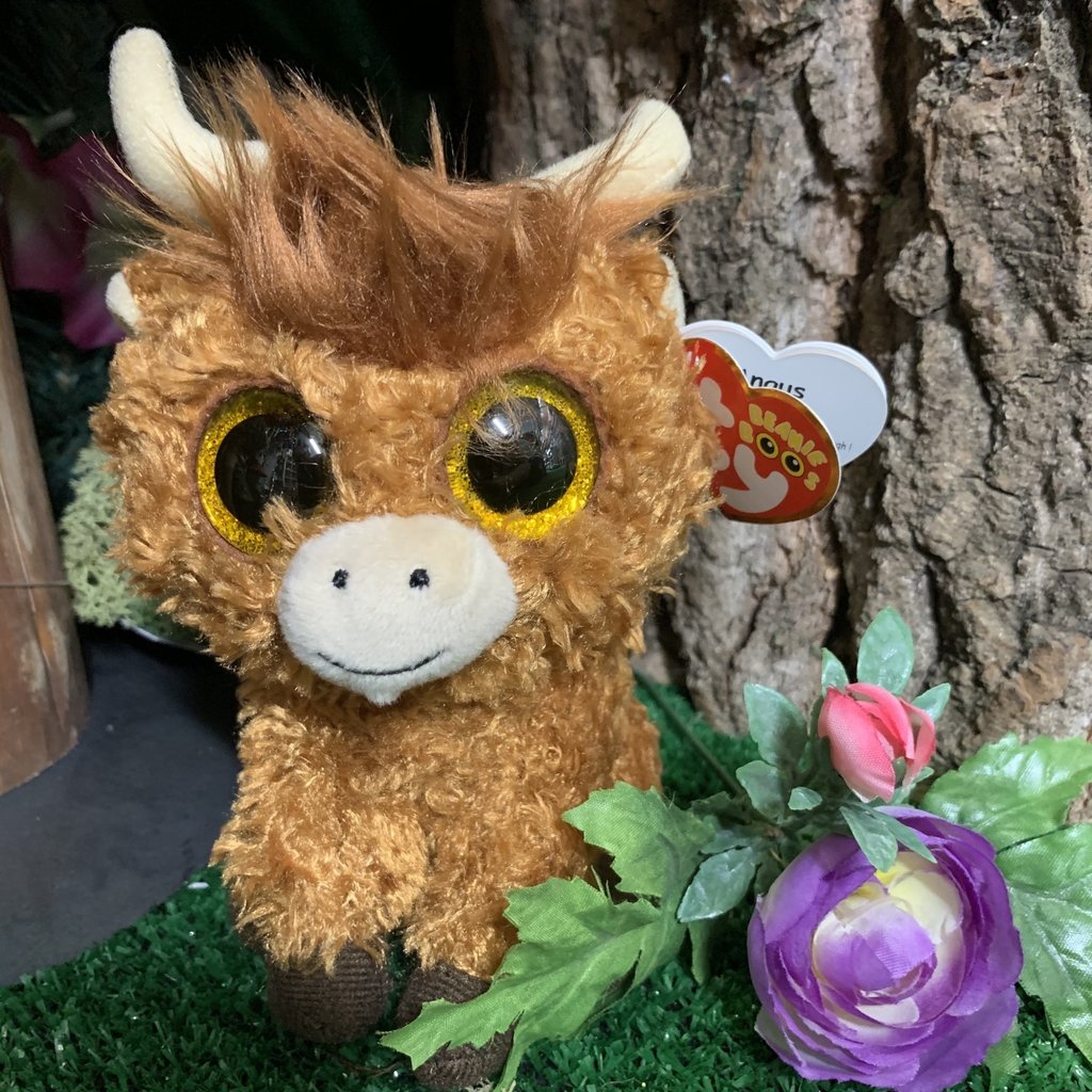 beanie boo highland cow