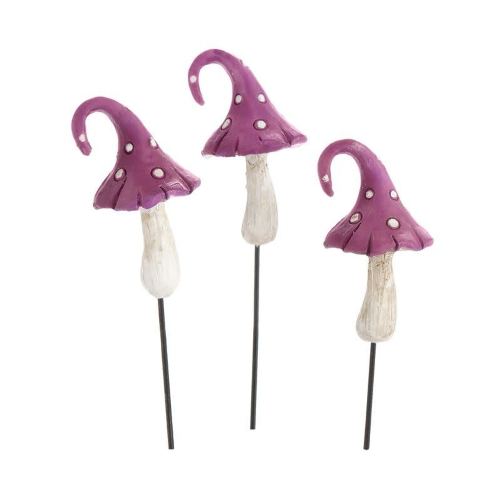 Fiddlehead Fiddlehead - Mini Purple Curl Top Mushroom (3pcs)