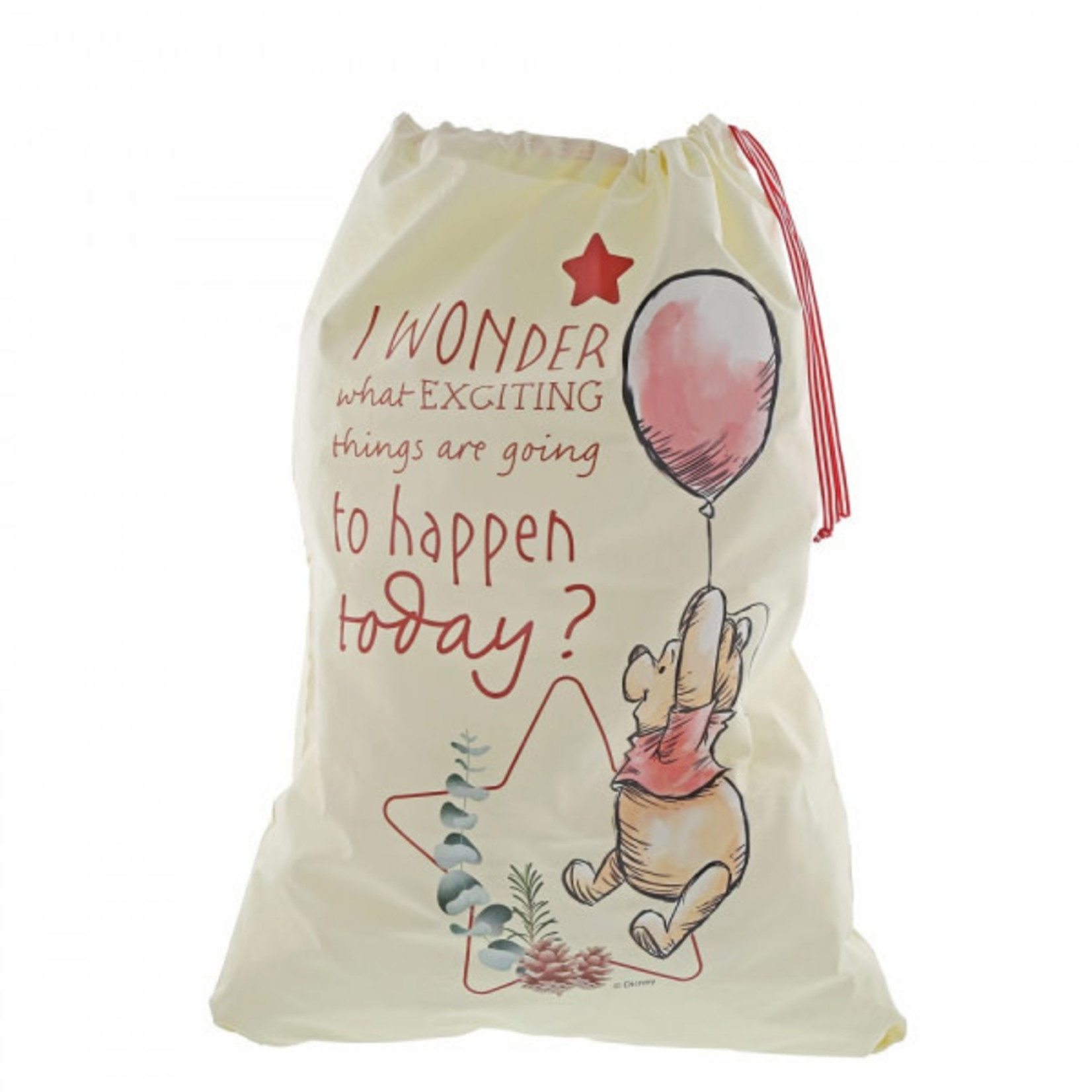 Disney - Winnie the Pooh Disney - Winnie The Pooh Christmas Sack