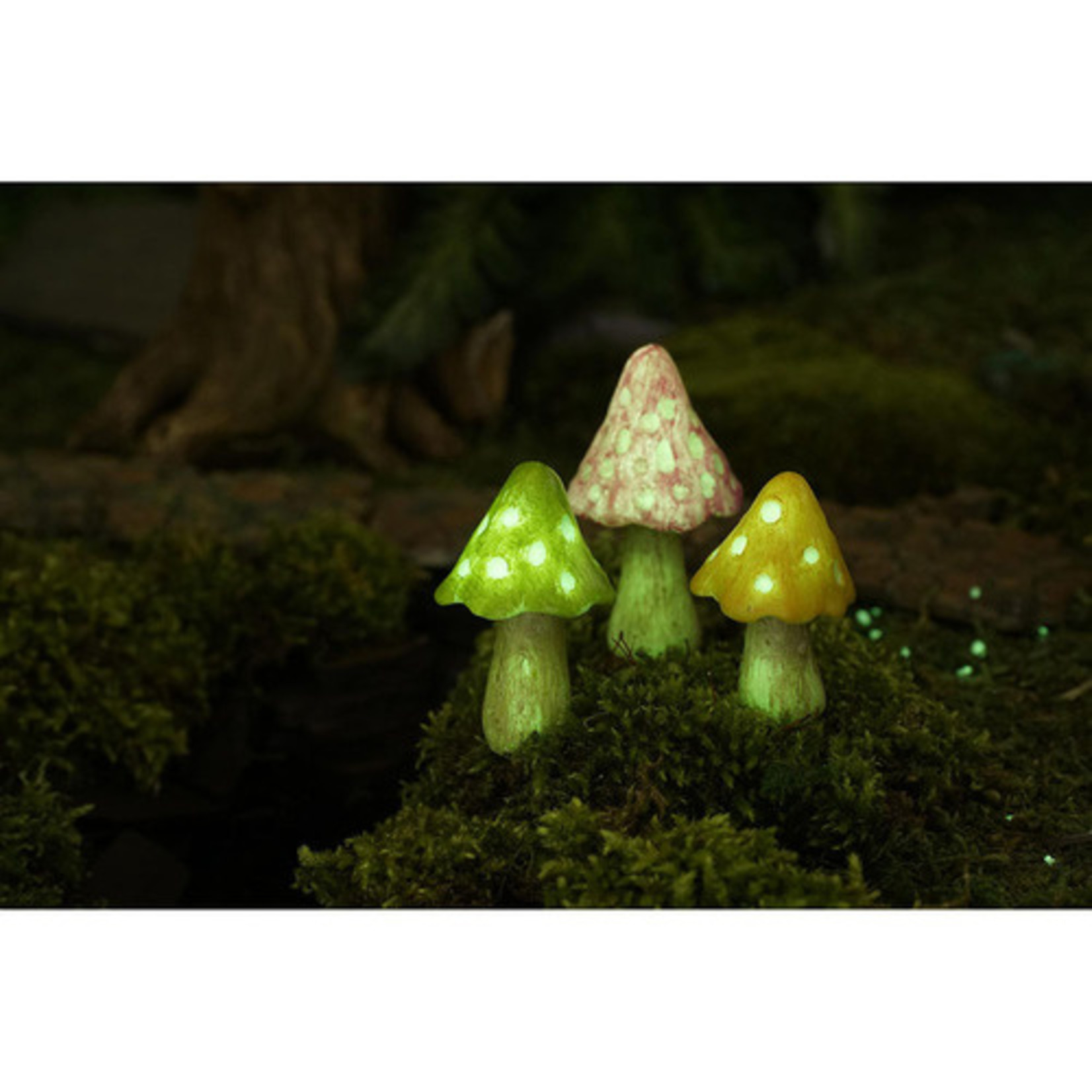 Woodland Knoll Woodland Knoll - Glow Mushrooms