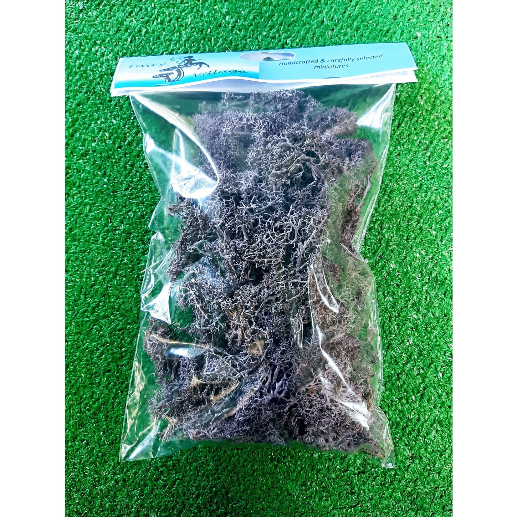 Fairy Village Moss Bag 50g