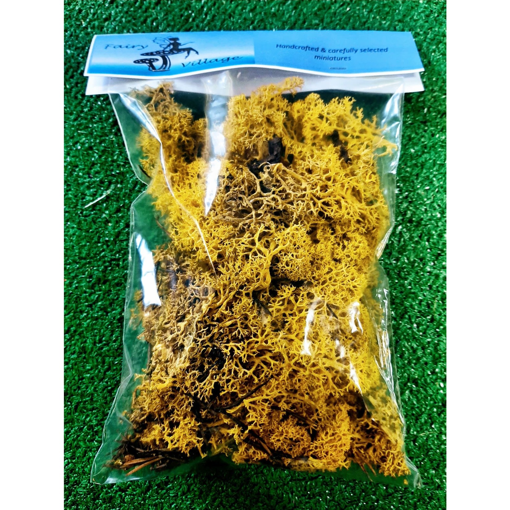 Fairy Village Moss Bag 50g