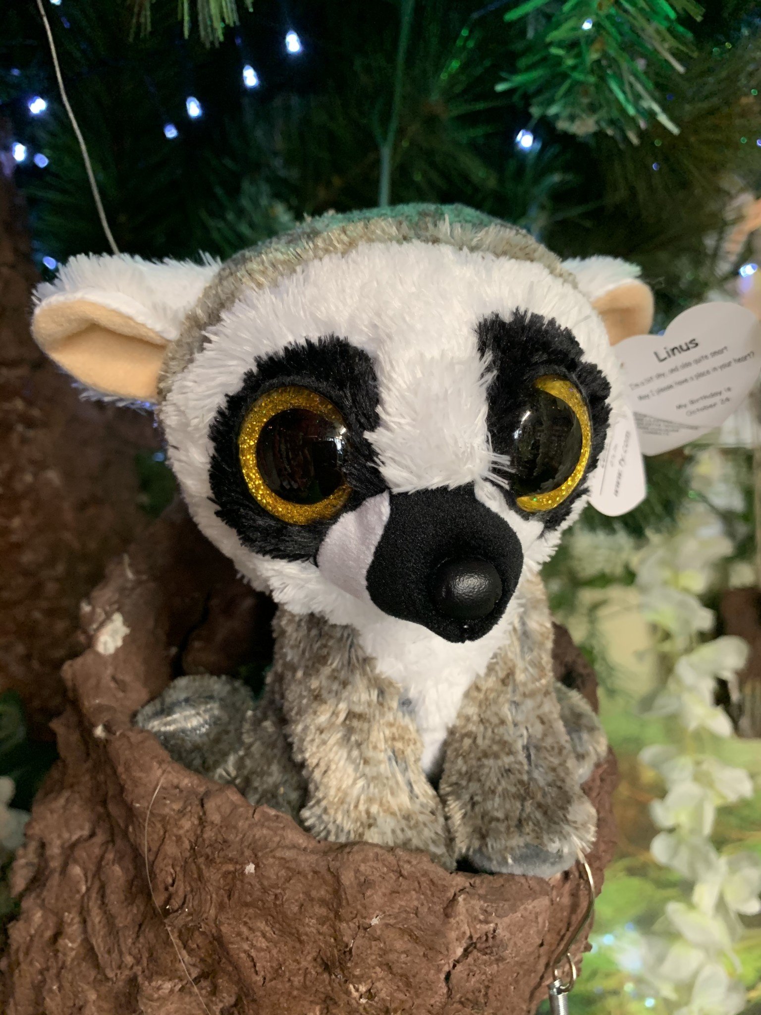 ty beanie boo lemur