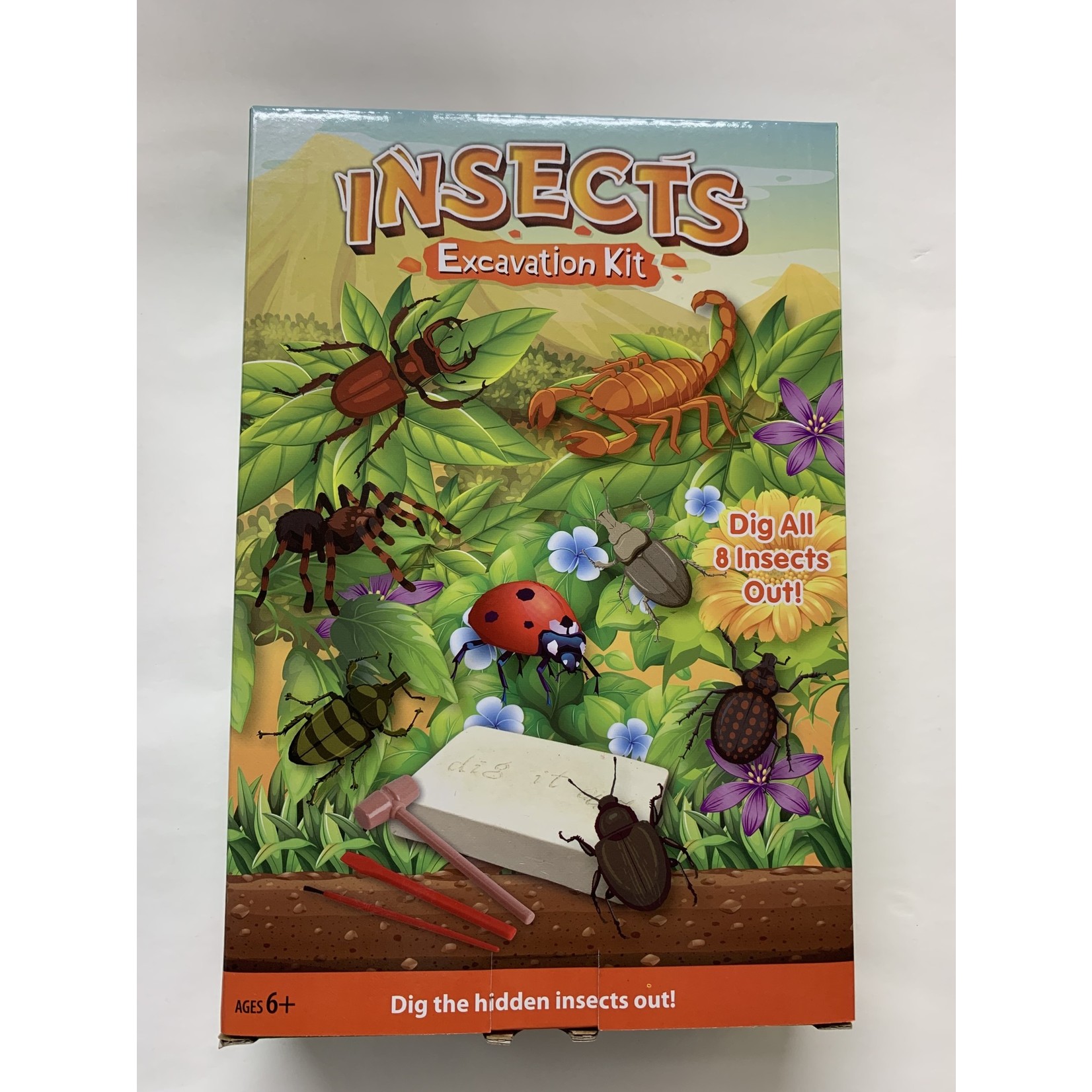 Kandtoys Insects Excavation Kit