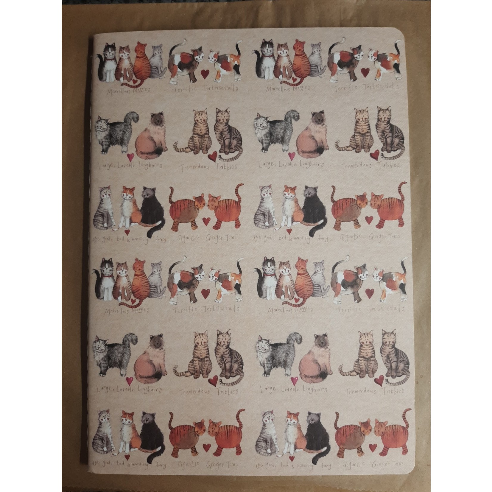 Alex Clark Soft Notebook - Large - Charismatic Cats (CG)