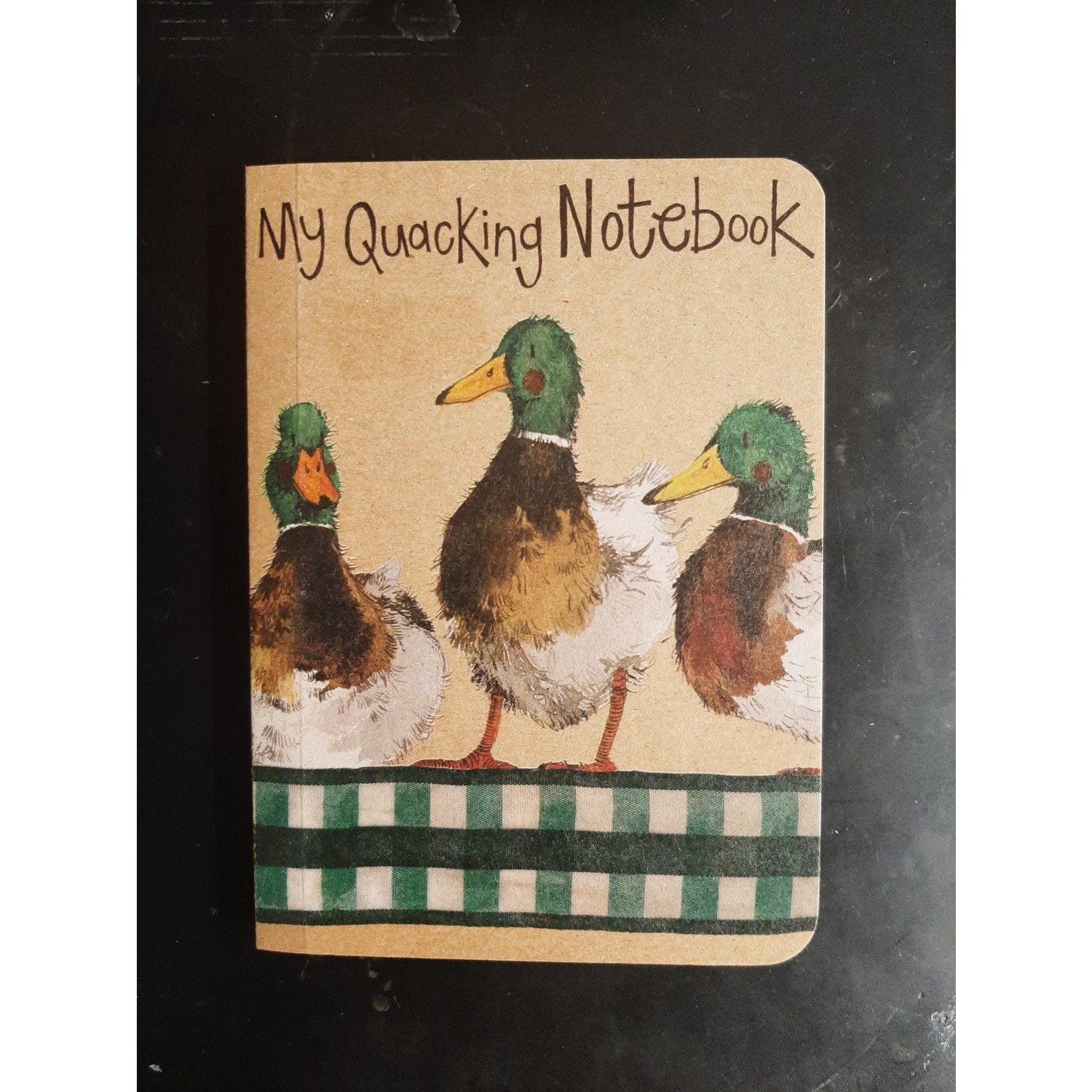Alex Clark Kraft Notebook - Small - Happy Mallards (CG)