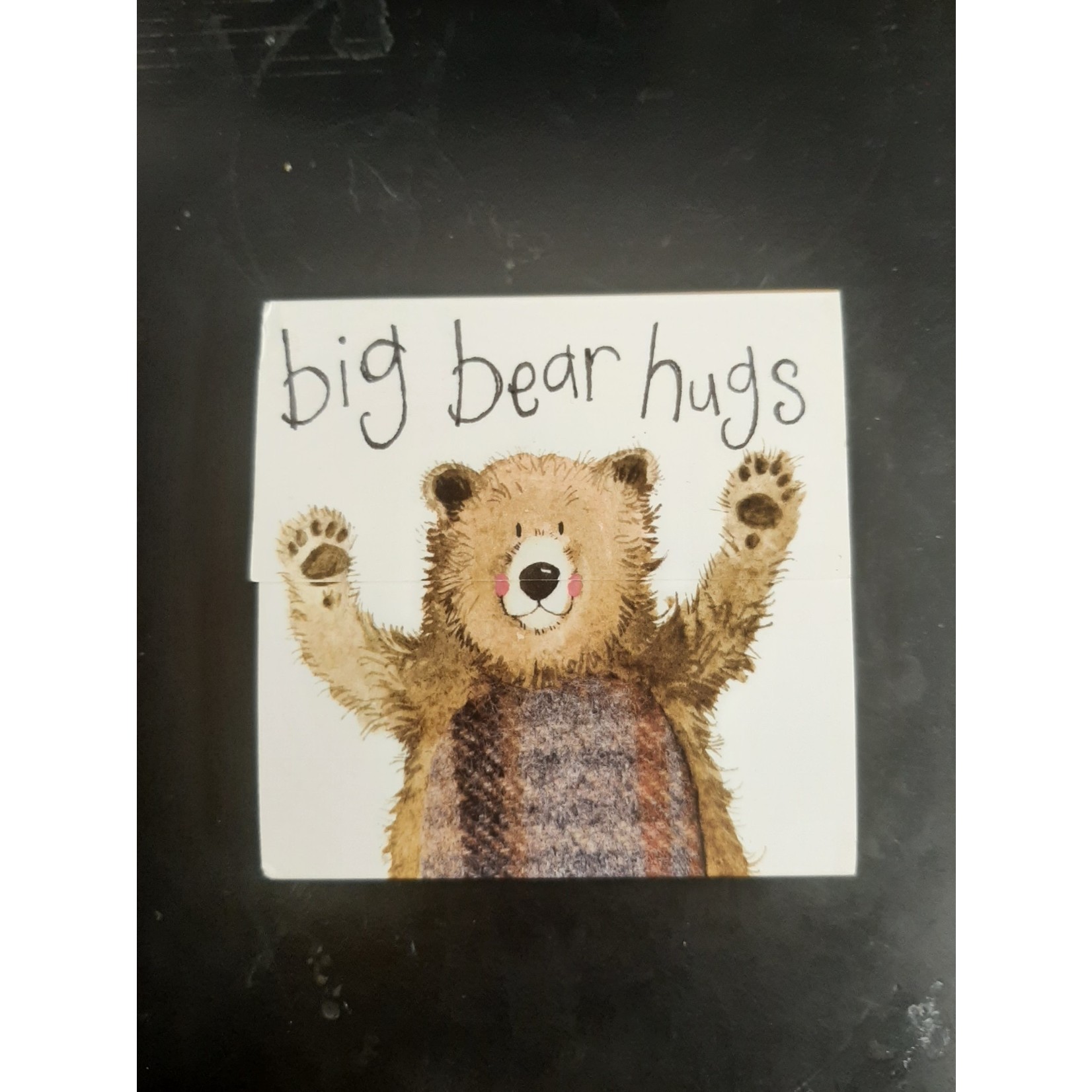 Alex Clark Mini Magnetic Notepad - Bear Hugs (CG)