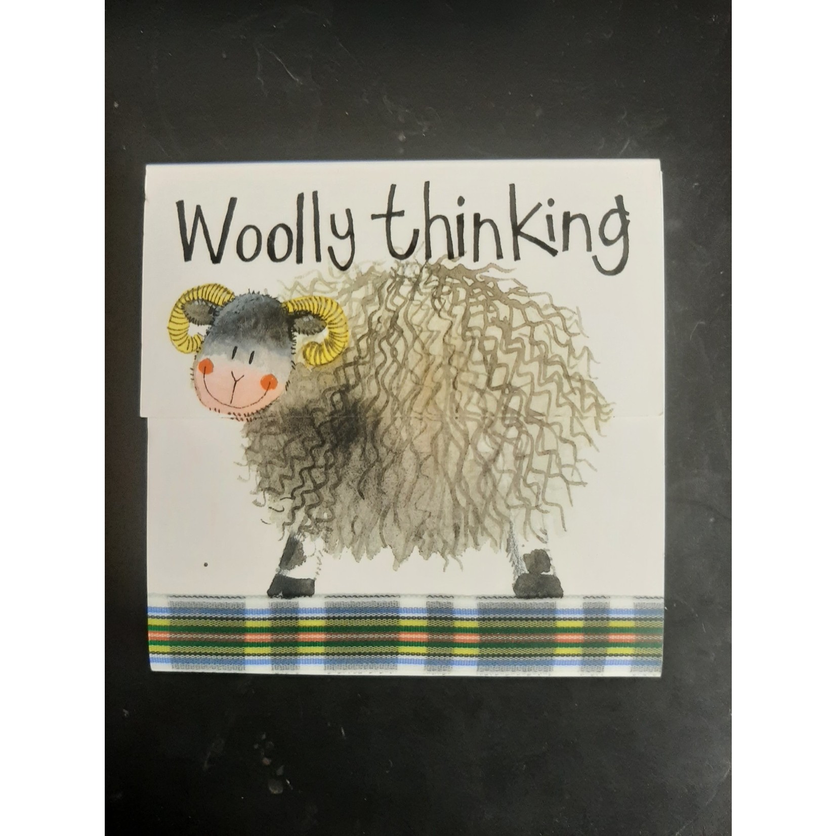 Alex Clark Mini Magnetic Notepad - Woolly Thinking (CG)