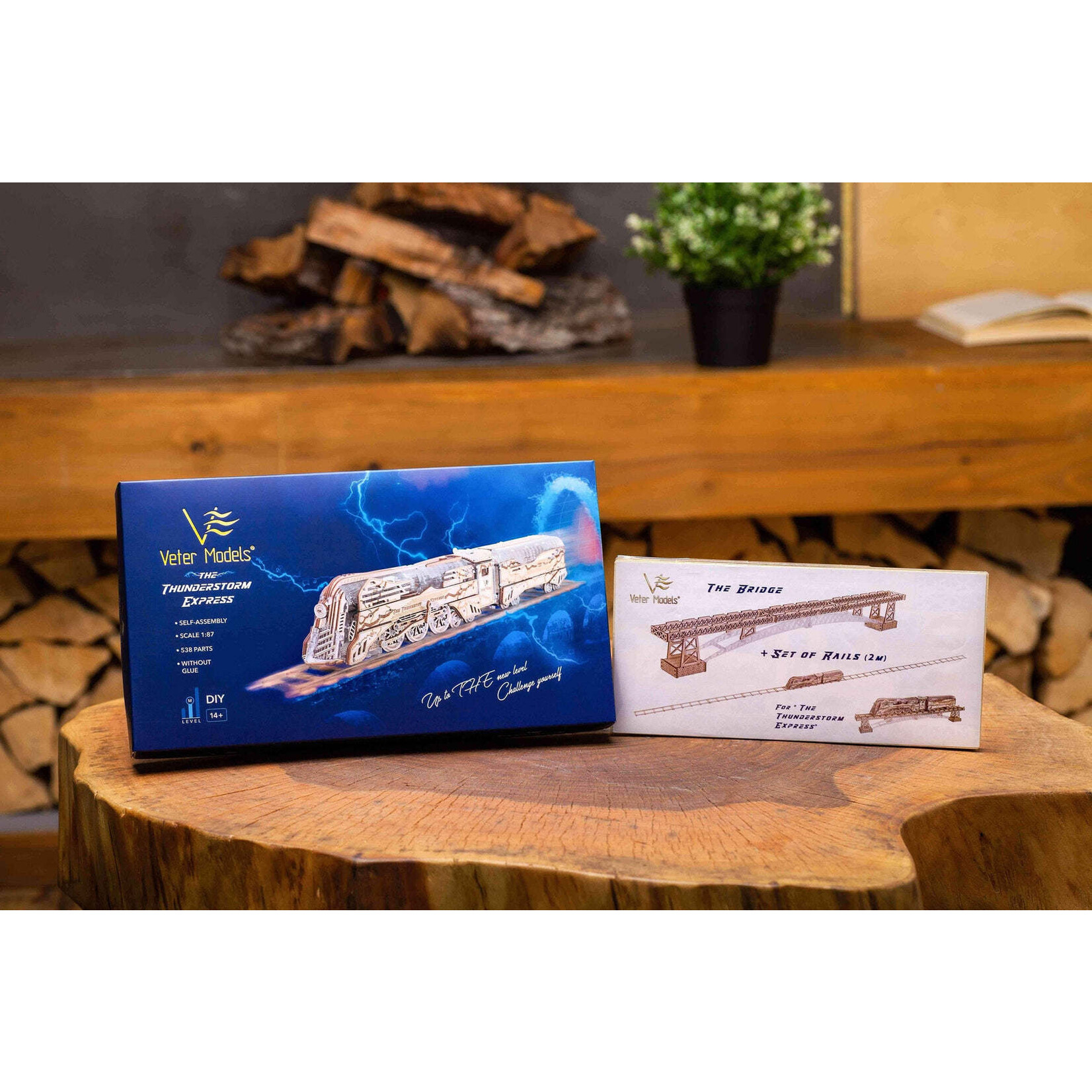 Viter/Veter Models The Thunderstorm Express Train - Viter Mechanical Model