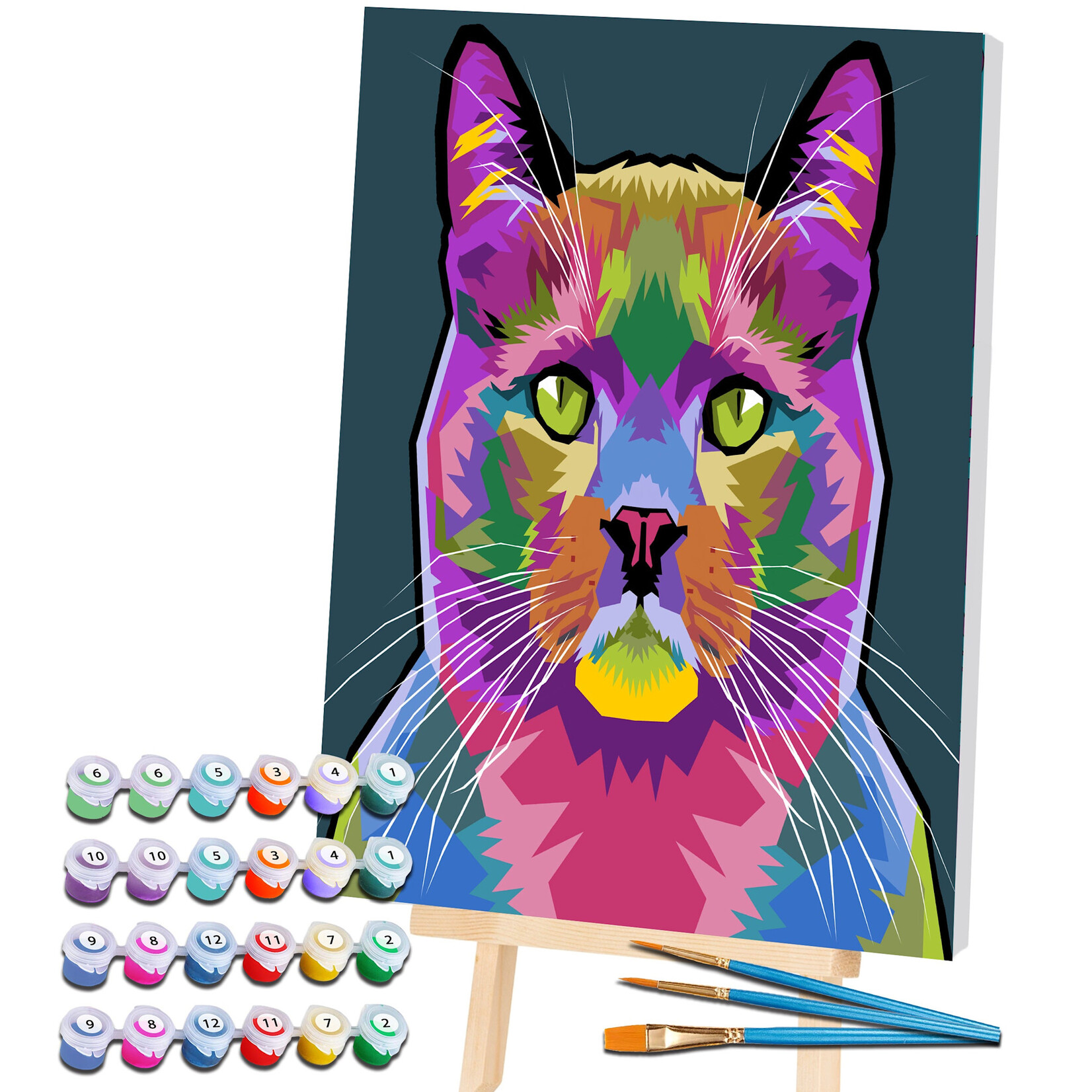 Cat - Painting by Numbers 40x30cm