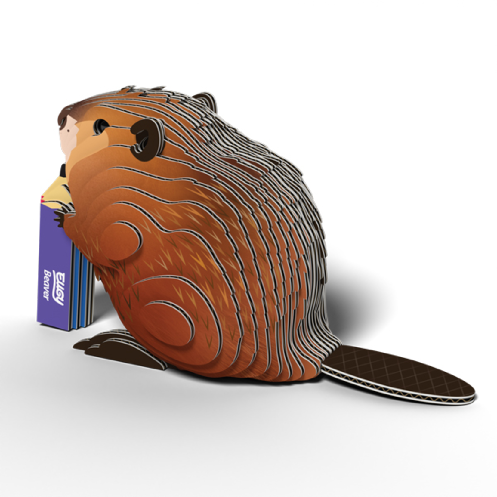 Eugy Eugy - 127 Beaver