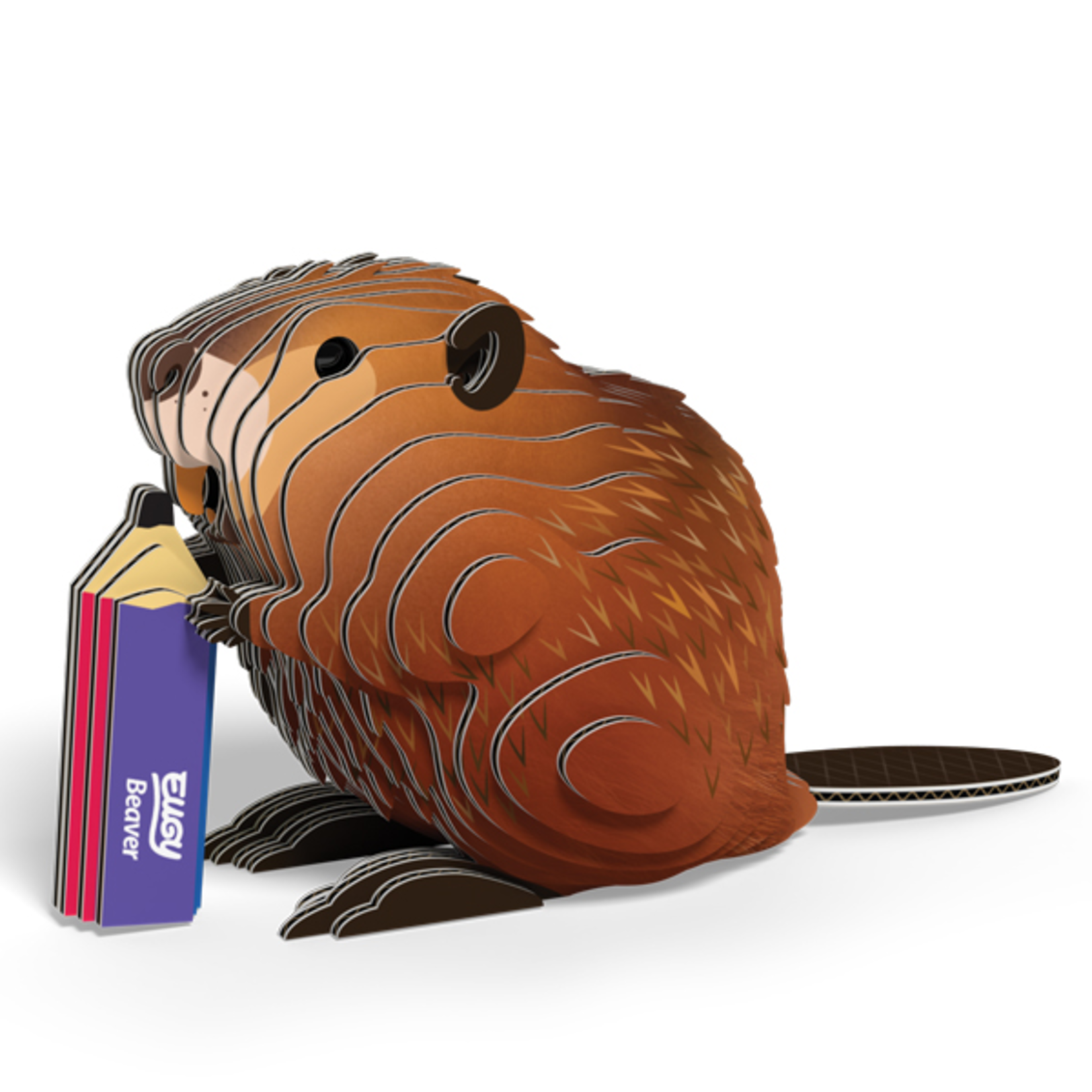 Eugy Eugy - 127 Beaver