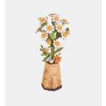 ROWOOD ROWOOD Chamomile Wooden Bloom Craft