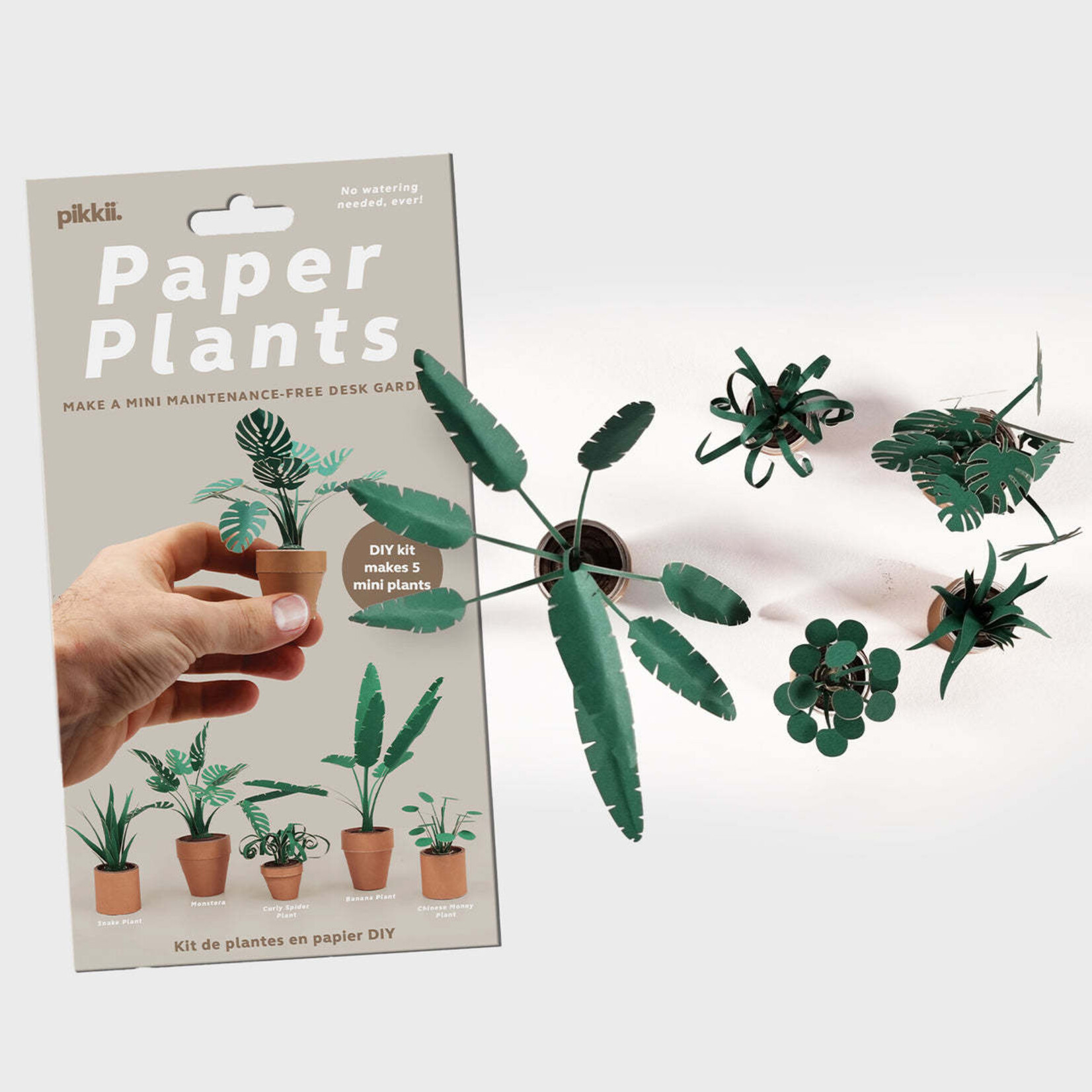 Paper Plants Craft Kit