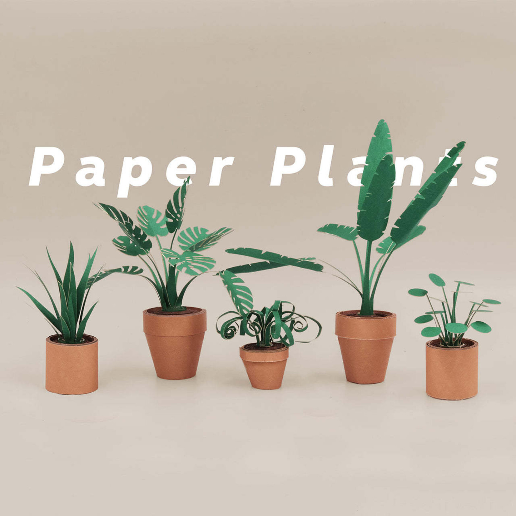 Paper Plants Craft Kit
