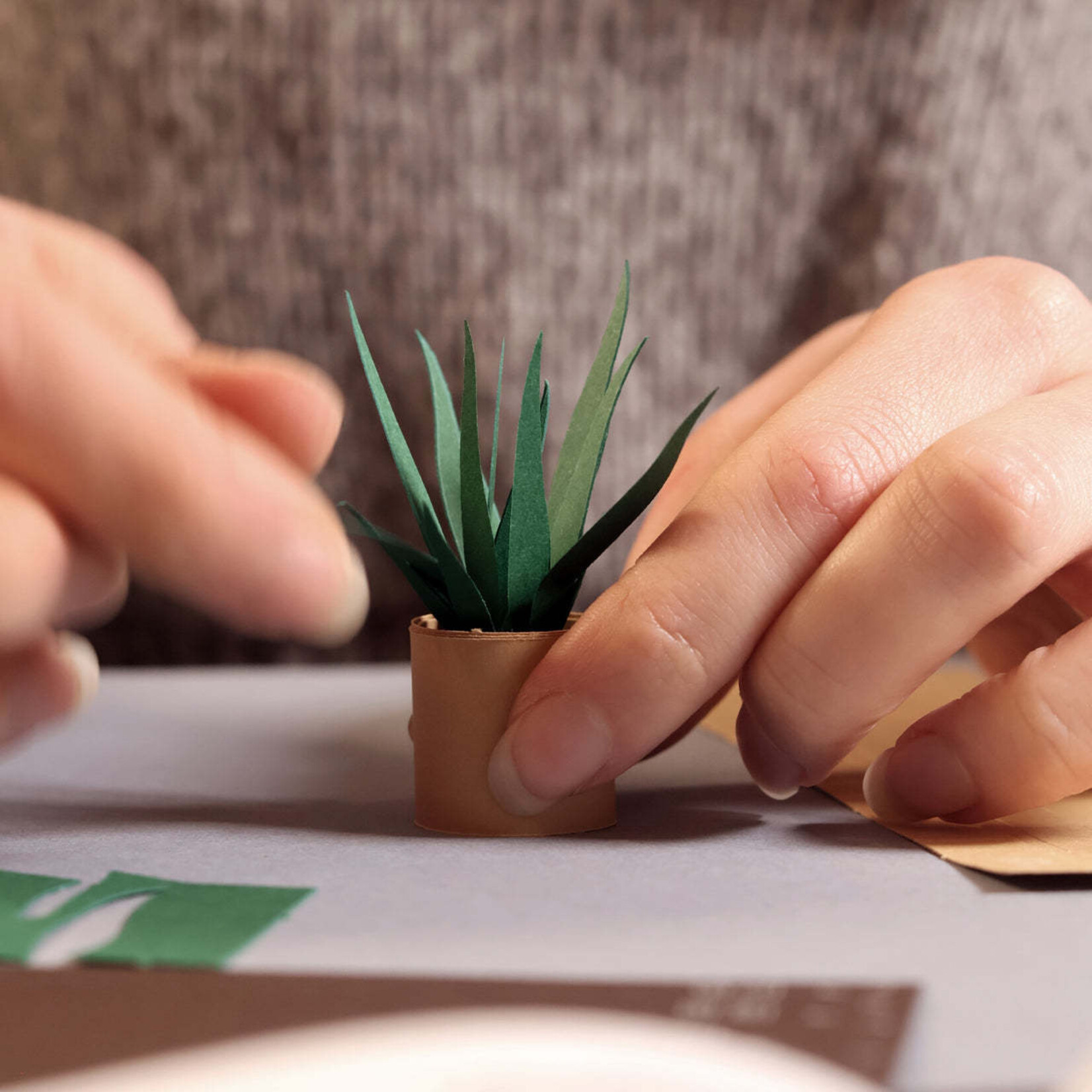 Paper Plants Craft Kit