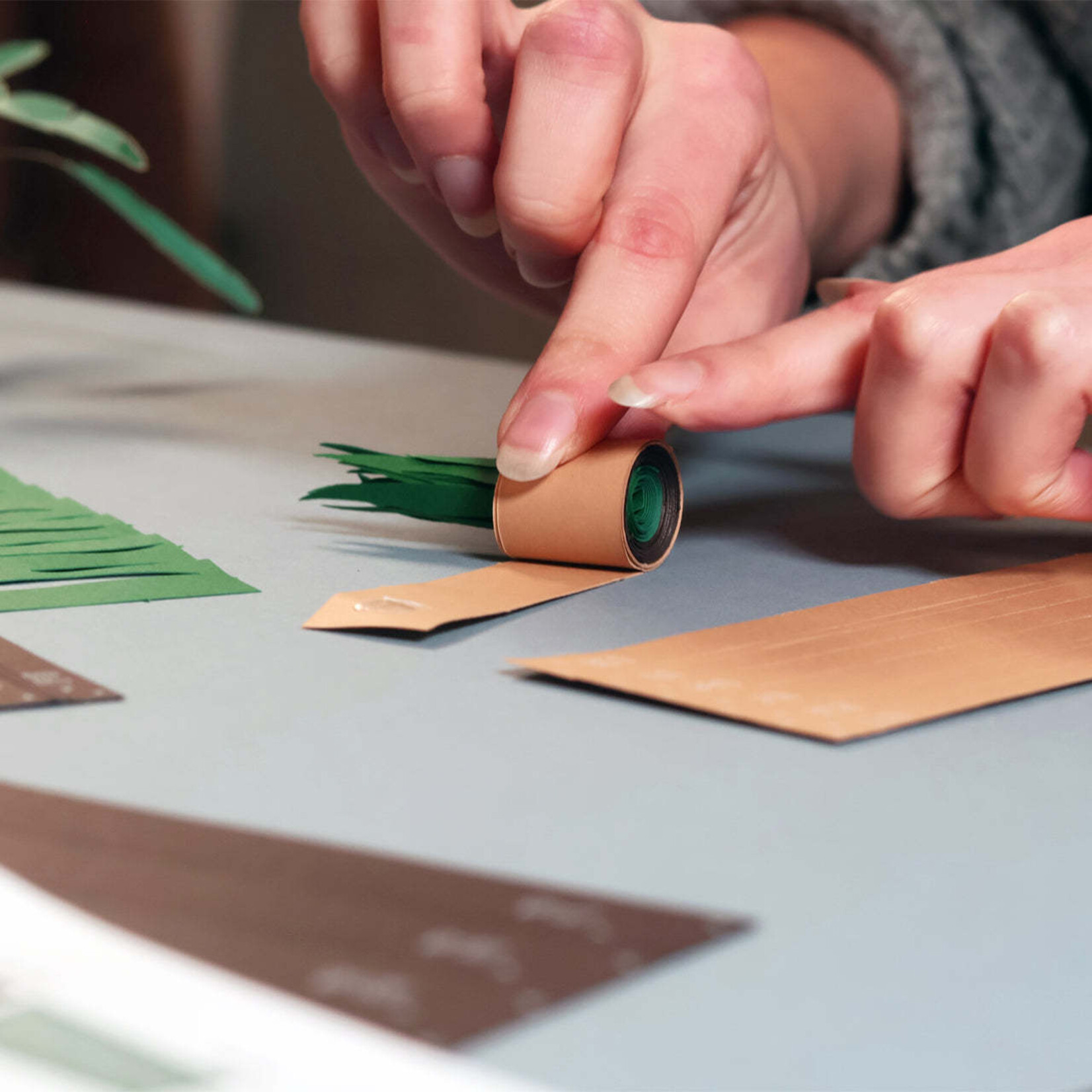 Paper Plants Craft Kit