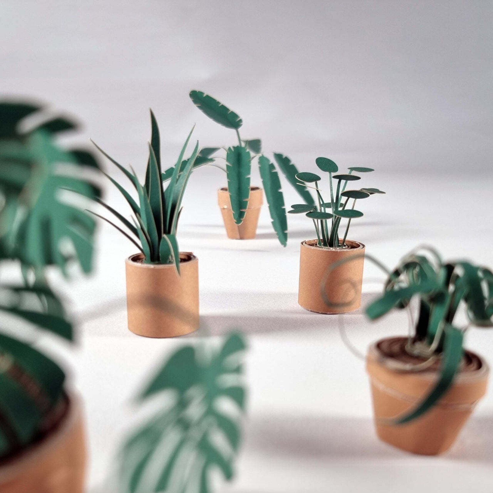 Paper Plants Craft Kit