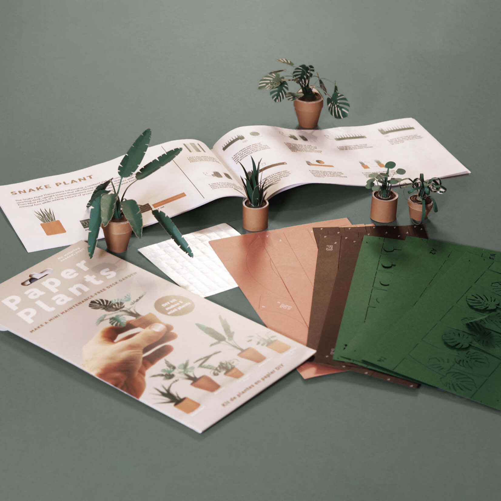 Paper Plants Craft Kit