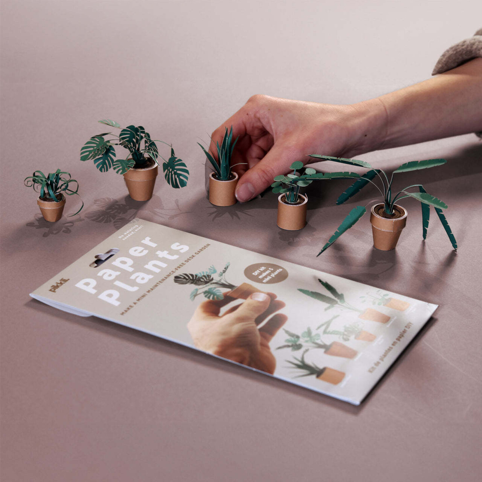 Paper Plants Craft Kit