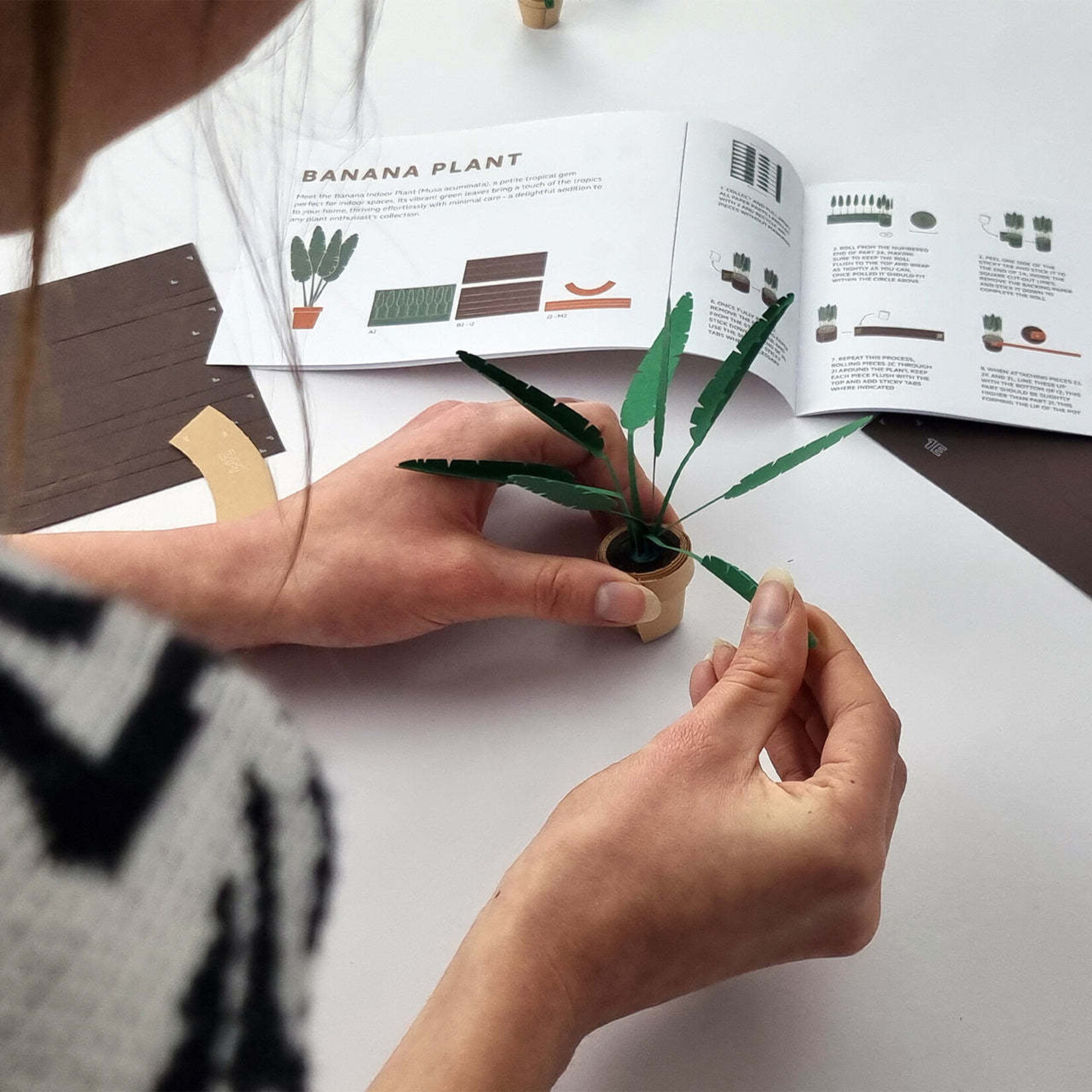 Paper Plants Craft Kit