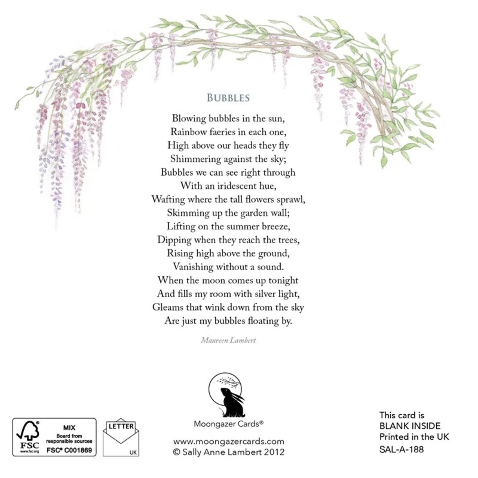 Bubbles Greeting Card