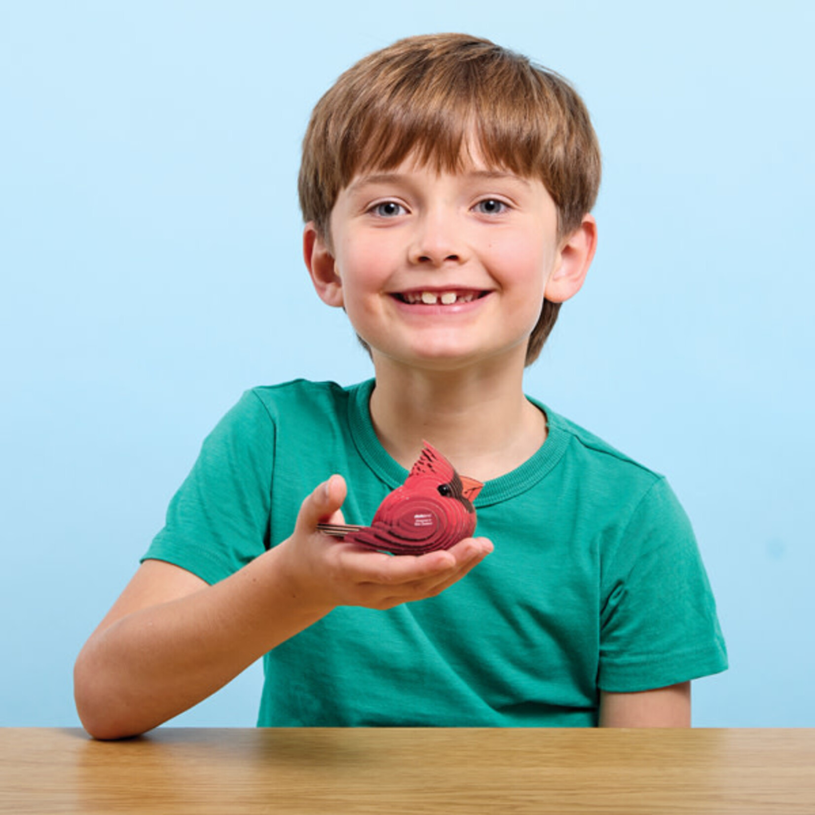 Eugy Eugy - 068 Cardinal