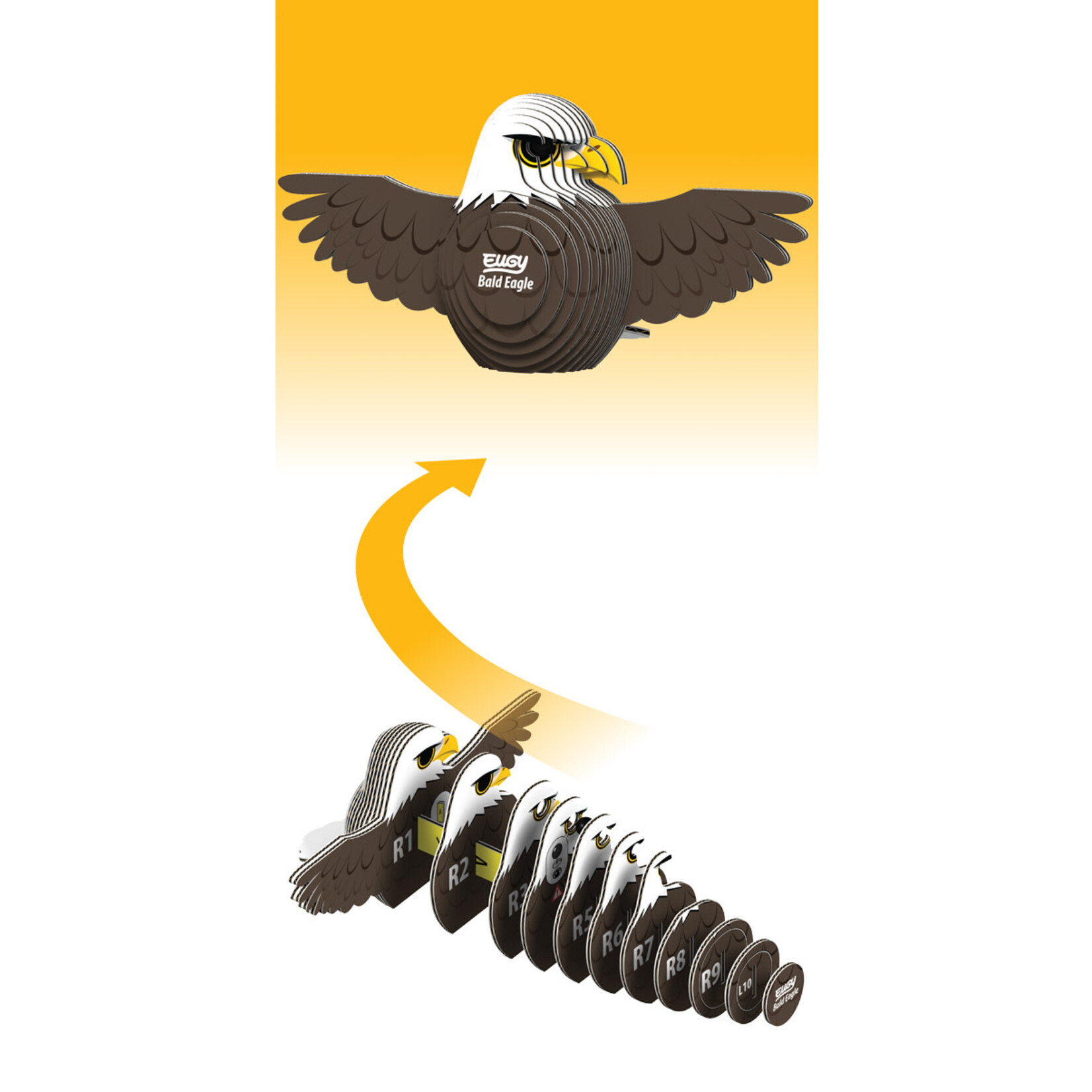 Eugy Eugy - 022 Bald Eagle