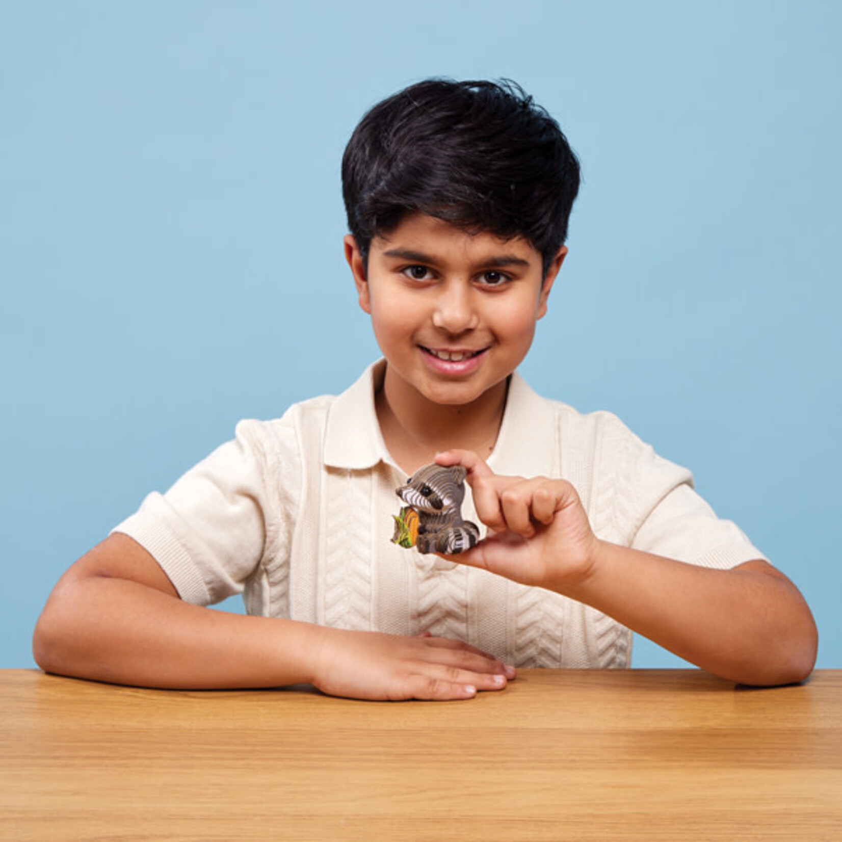 Eugy Eugy - 103 Raccoon