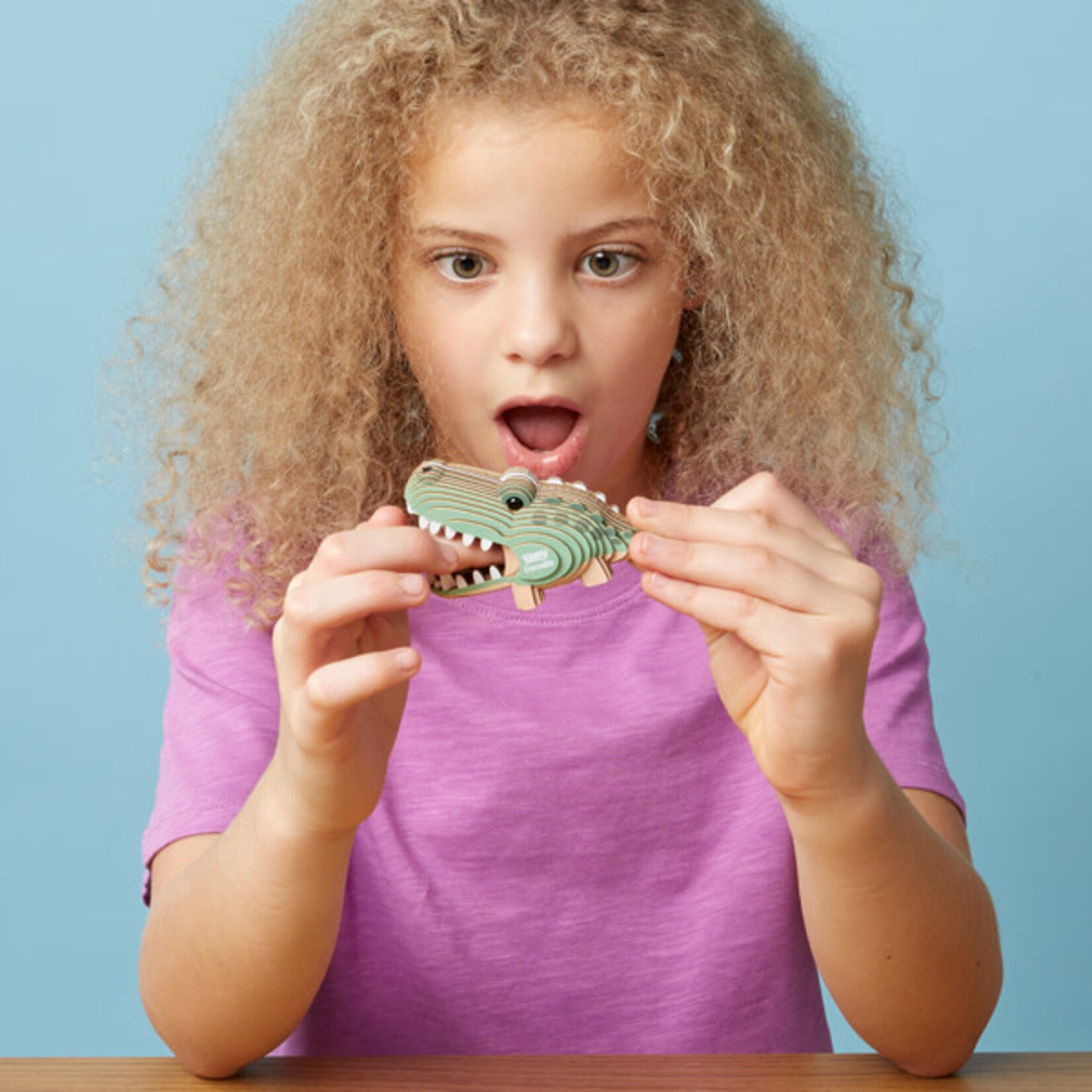 Eugy Eugy - 029 Crocodile