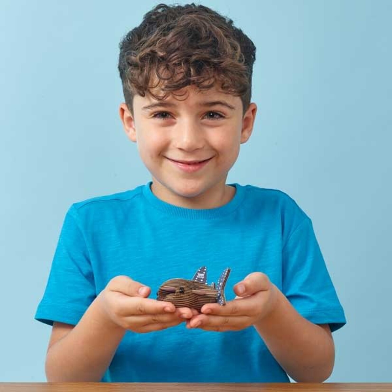 Eugy Eugy - 049 Whale Shark