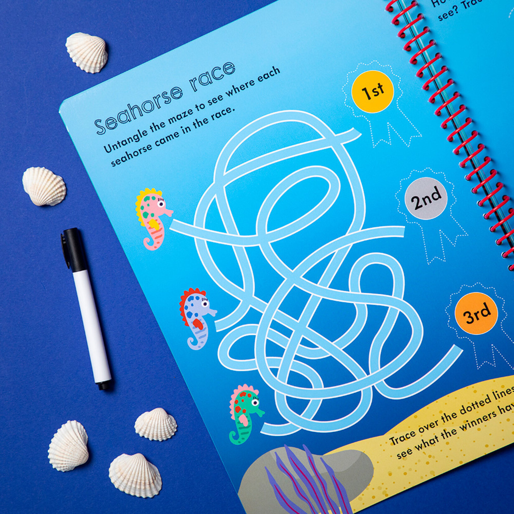 Hey Hugo In the Ocean Wipe-Clean Activity Book