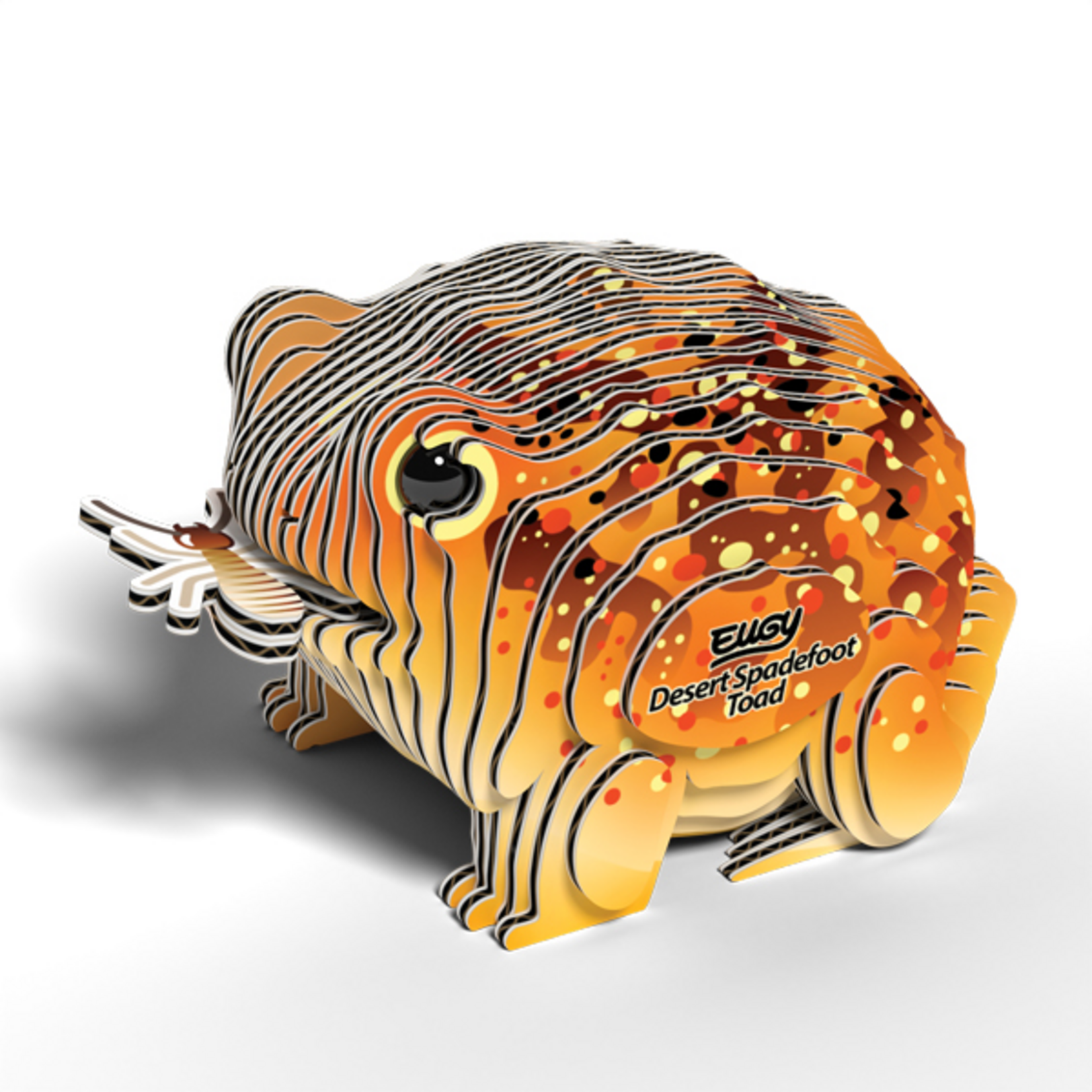 Eugy Eugy - Desert Spadefoot Toad