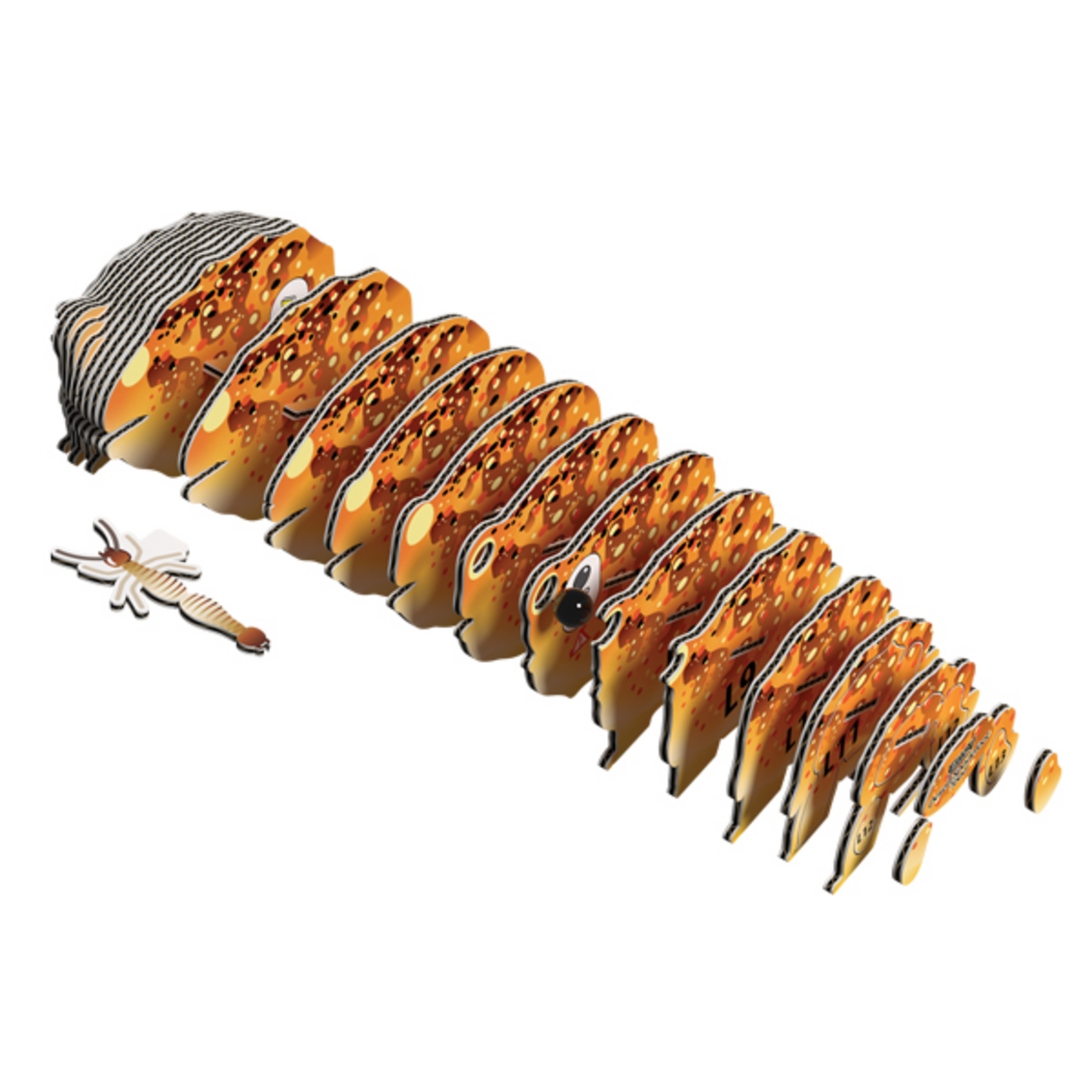 Eugy Eugy - Desert Spadefoot Toad