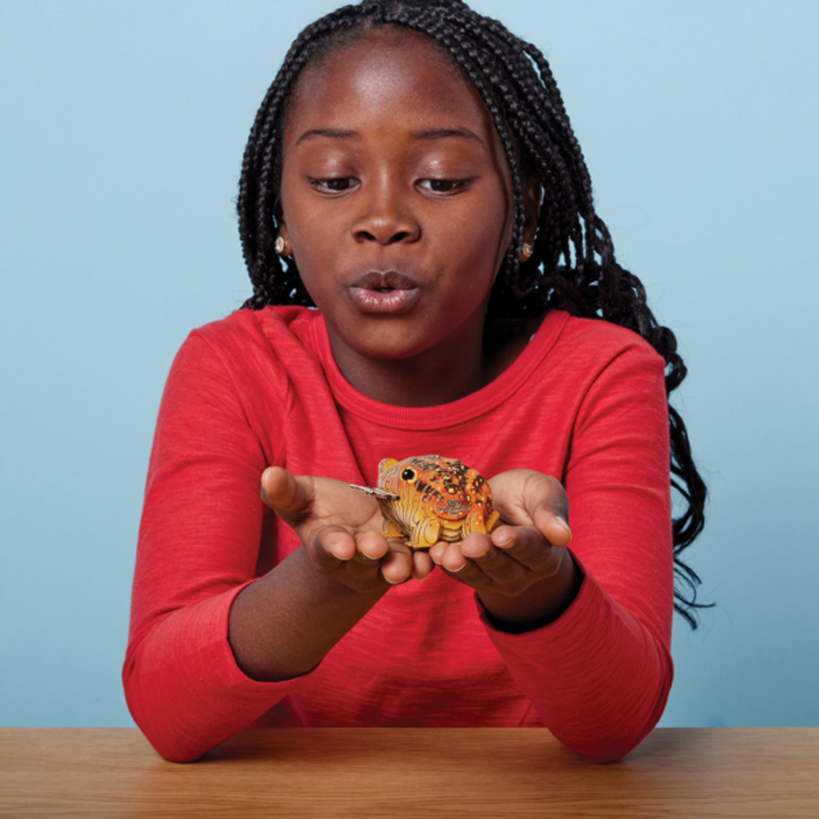 Eugy Eugy - Desert Spadefoot Toad