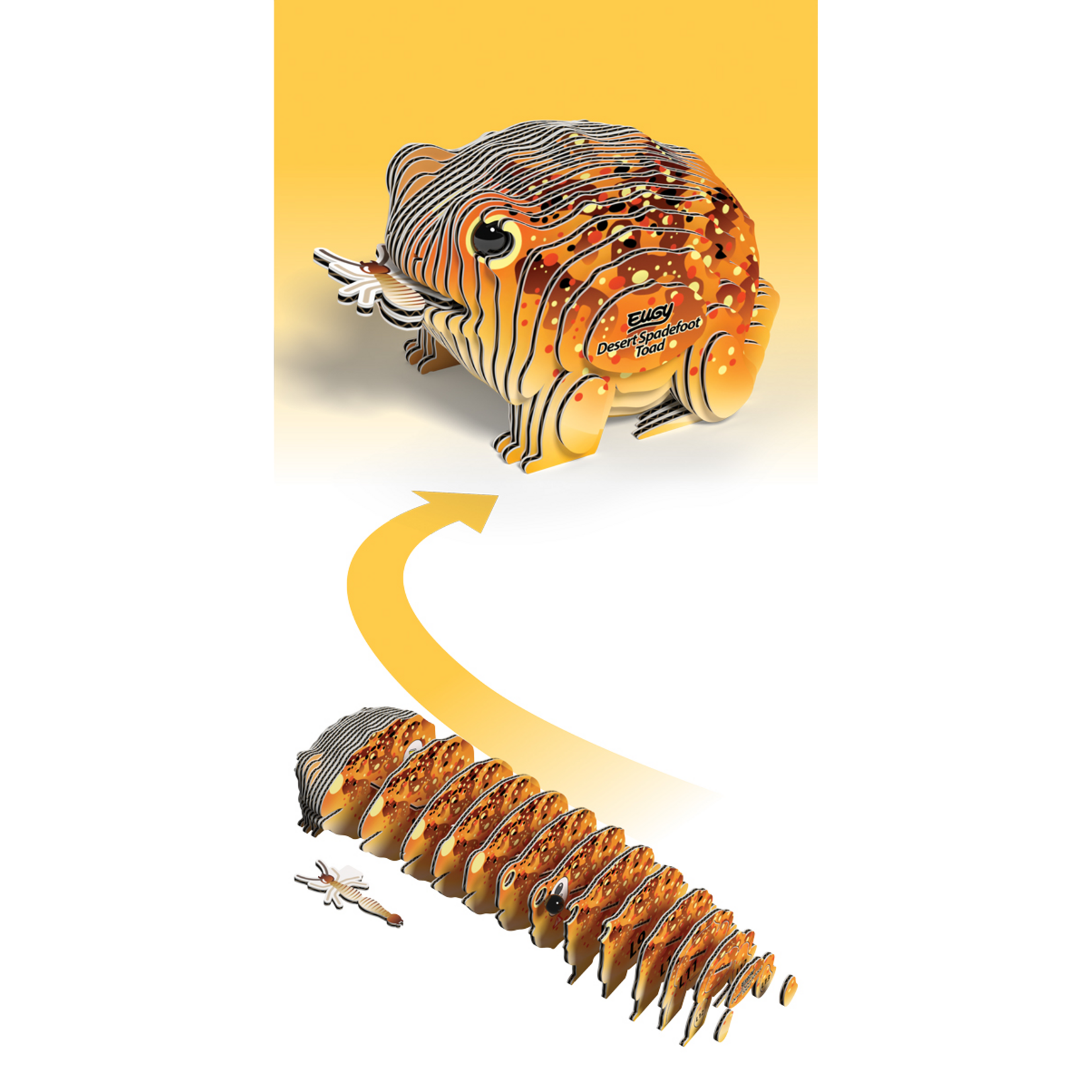 Eugy Eugy - Desert Spadefoot Toad