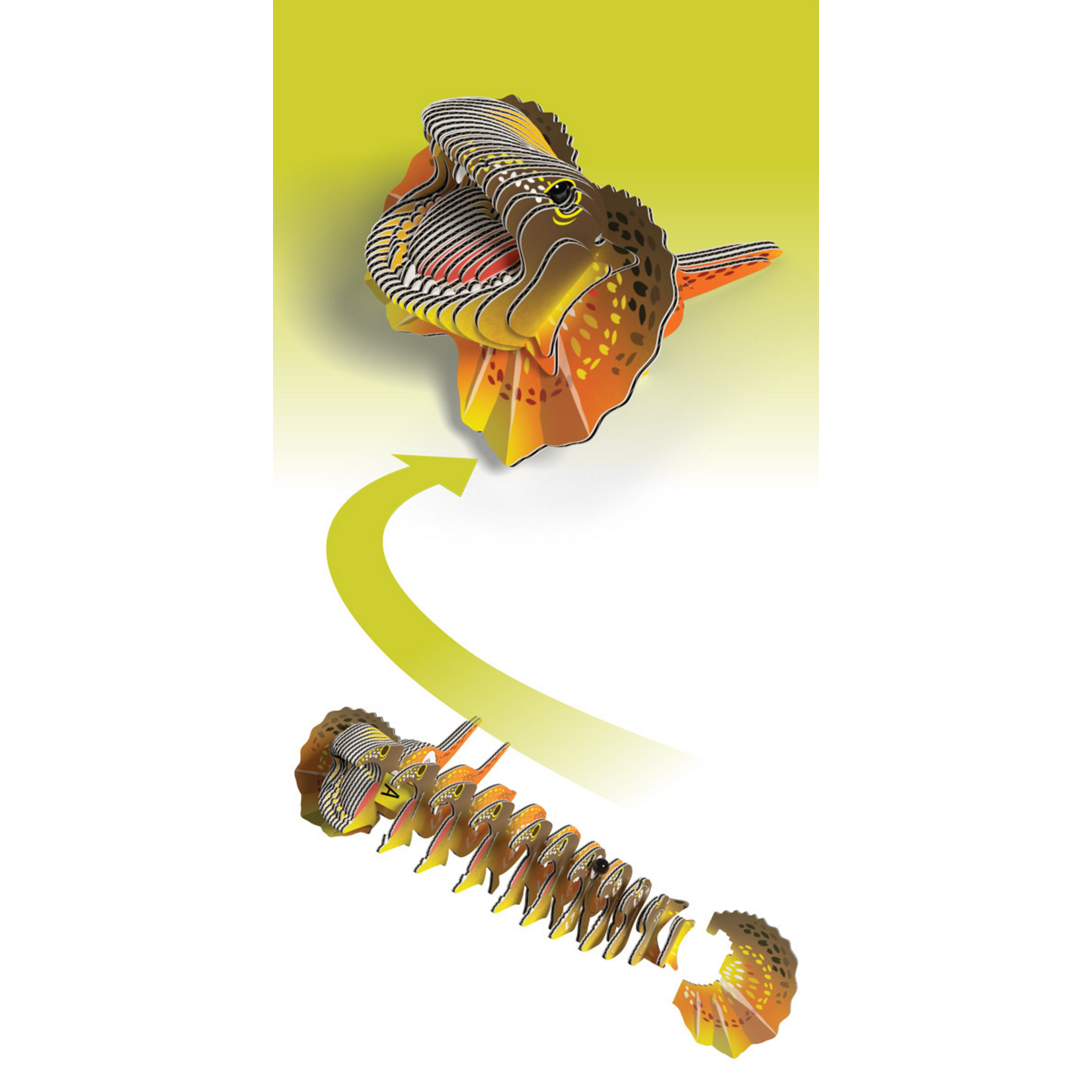 Eugy Eugy - Frilled Lizard