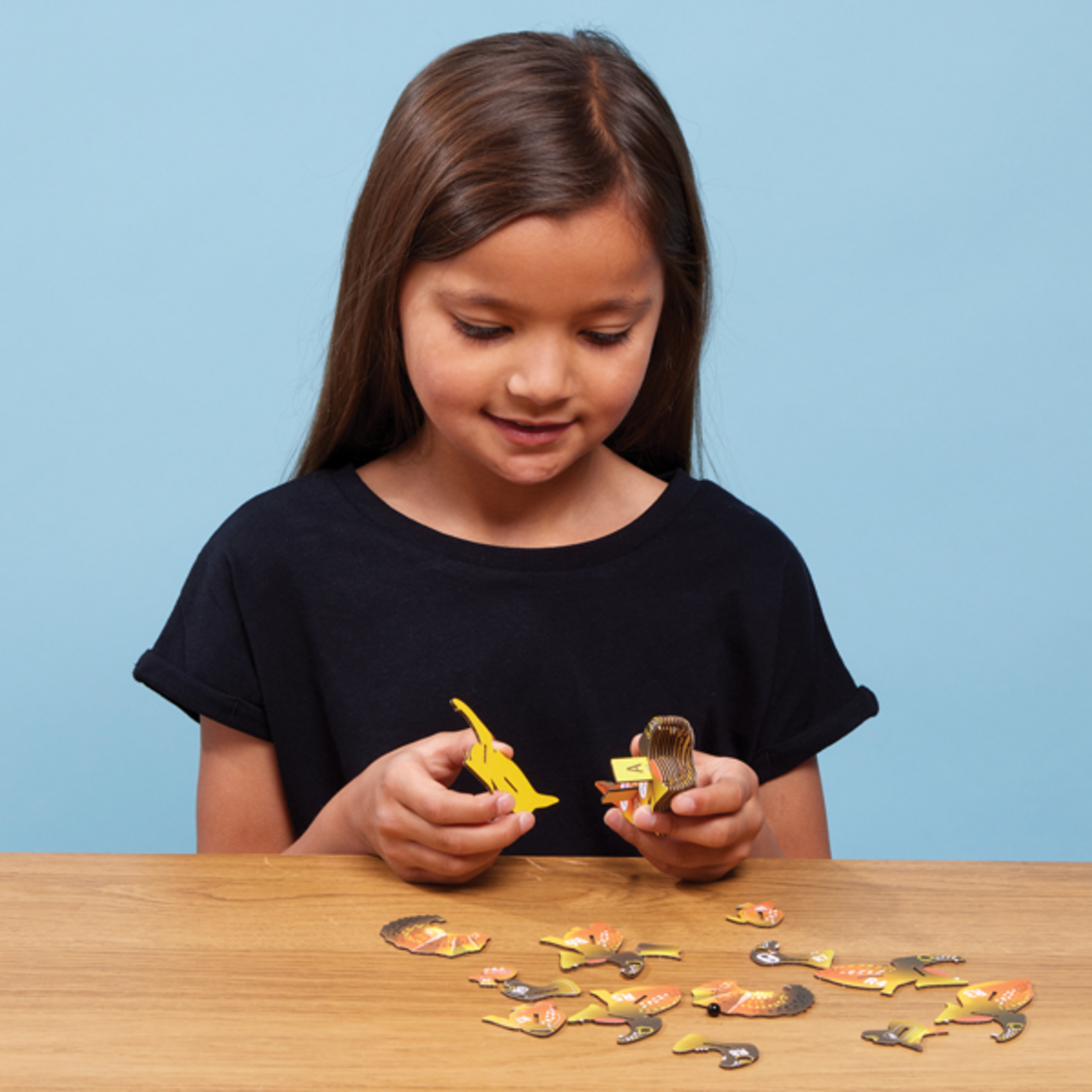 Eugy Eugy - Frilled Lizard