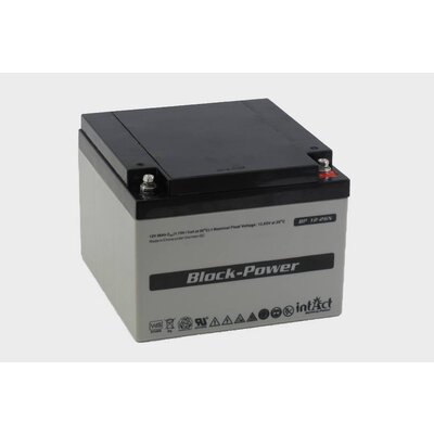 intAct intAct BP 12-26N AGM