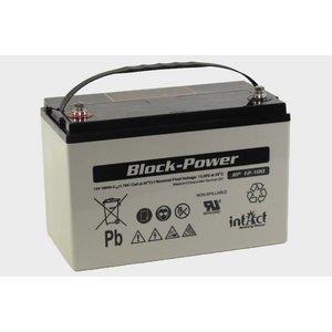 intAct intAct BP 12-100